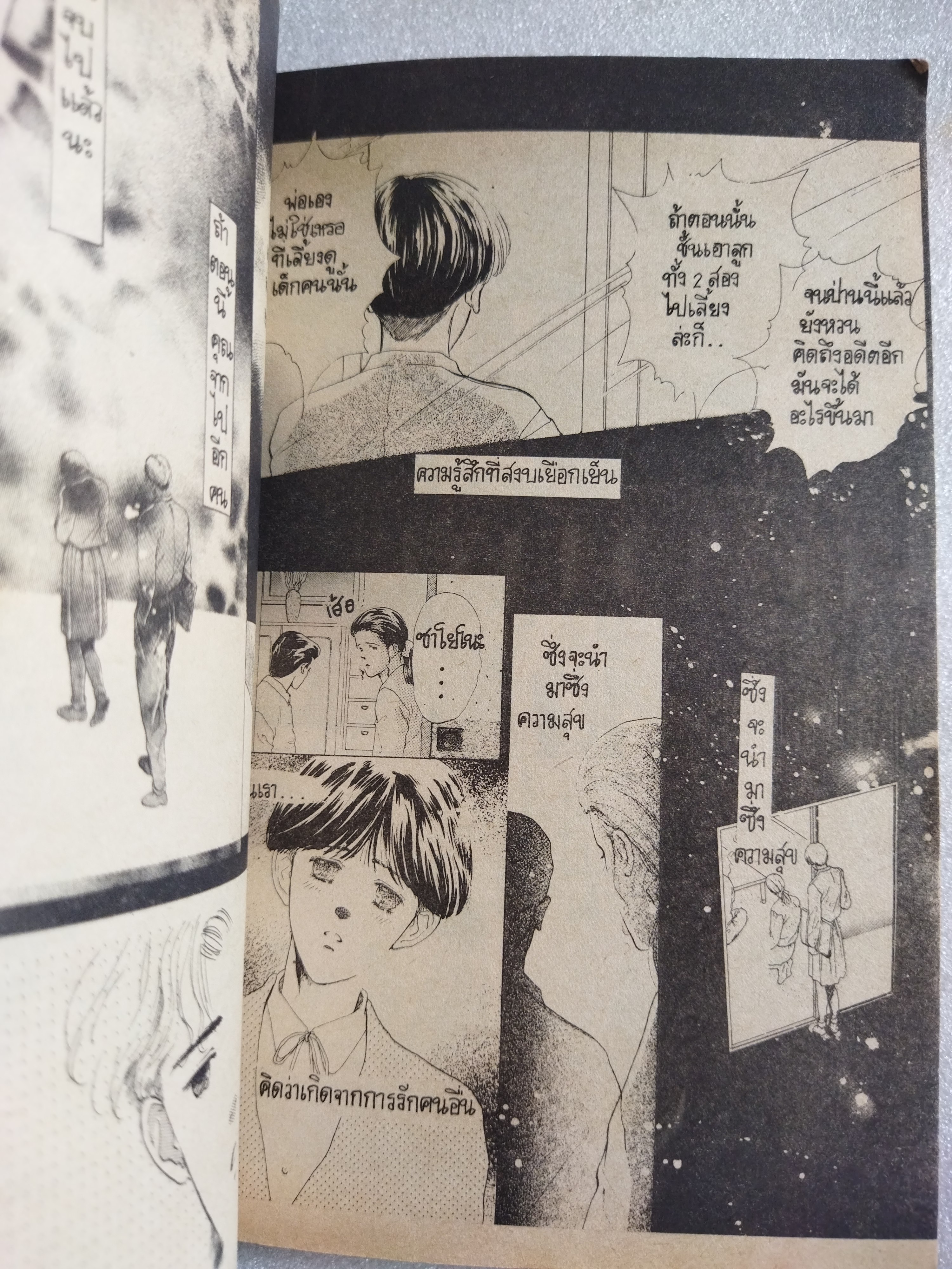 ห่วงใยหัวใจฉันบ้าง (Tears)