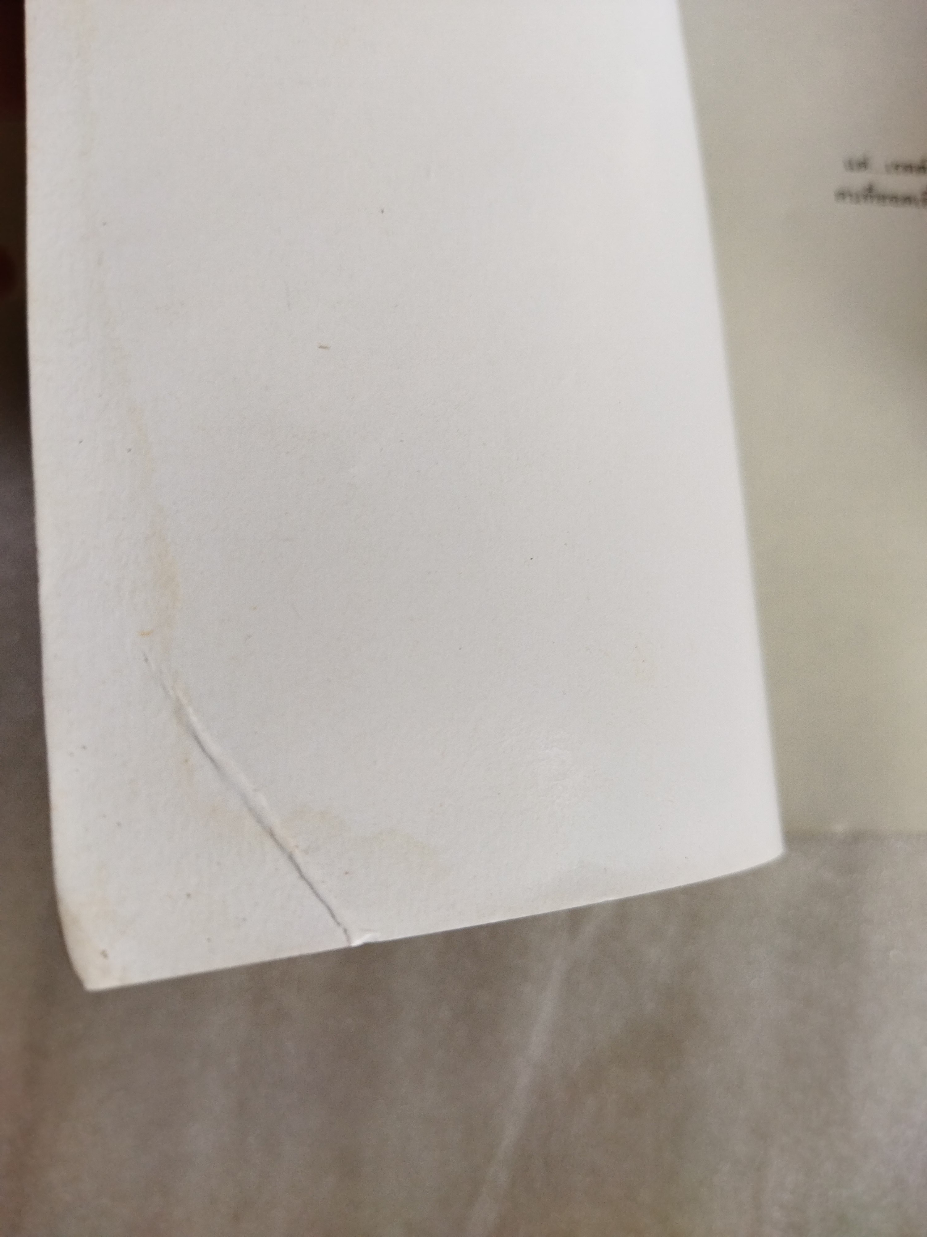 ลางรัก ลางเสน่หา (True Believer) / Nicholas Sparks