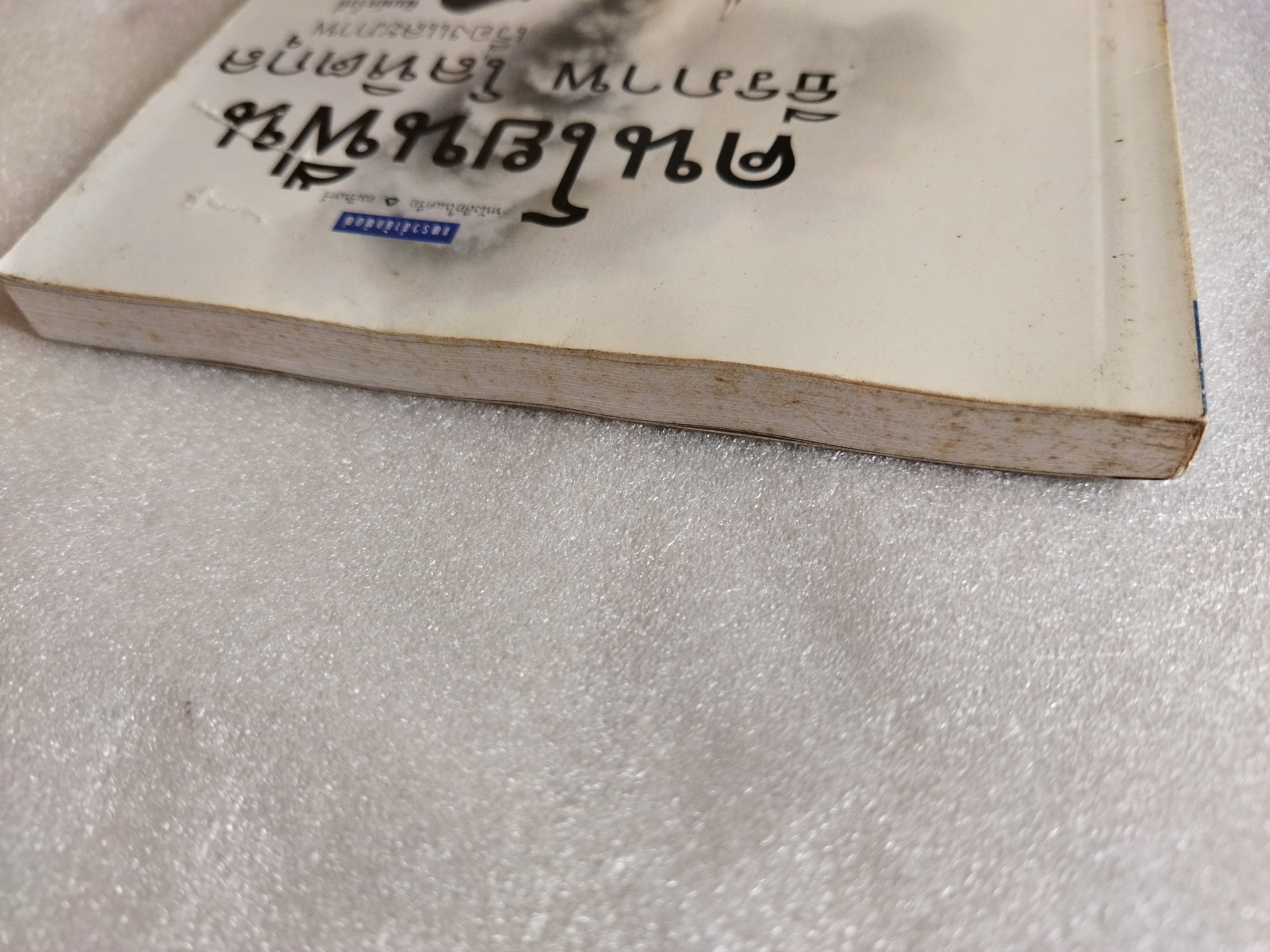 คนโยนฟืน / ธีรภาพ โลหิตกุล