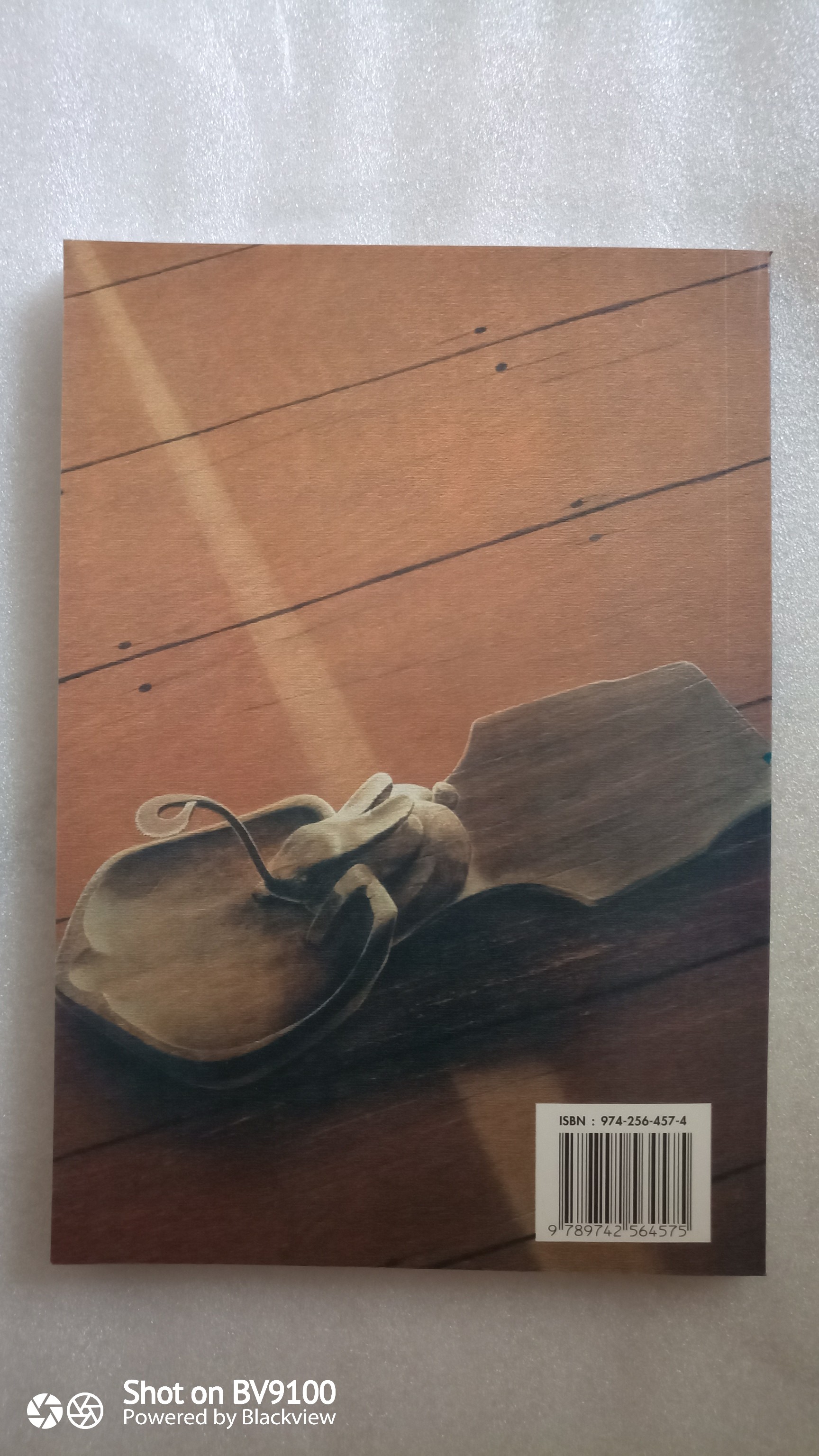 ครัวไทย / ส. พลายน้อย