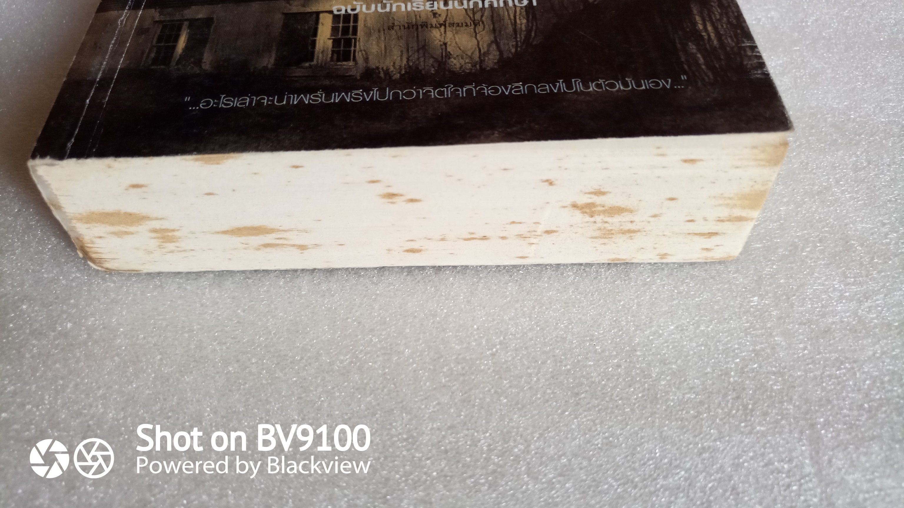 คนแคระ ฉบับนักเรียนนักศึกษา