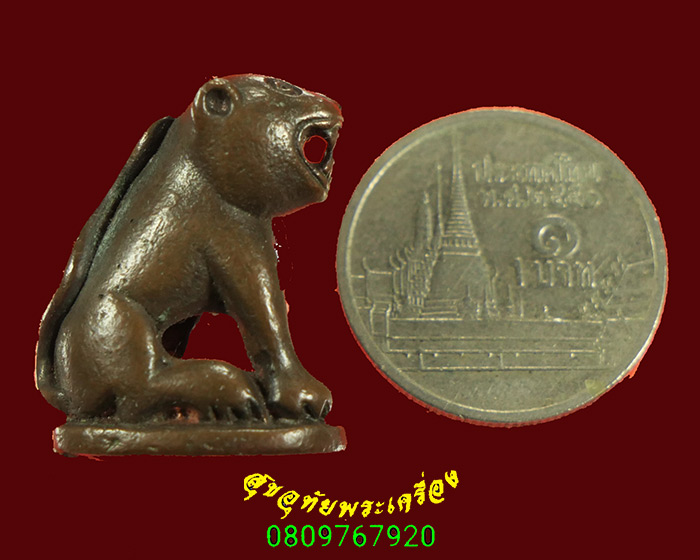 268.เสือโปร่งฟ้า หลวงพ่อสมชาย วัดปริวาส ตอกโค๊ต เข้มขลังคลาสสิกครับ