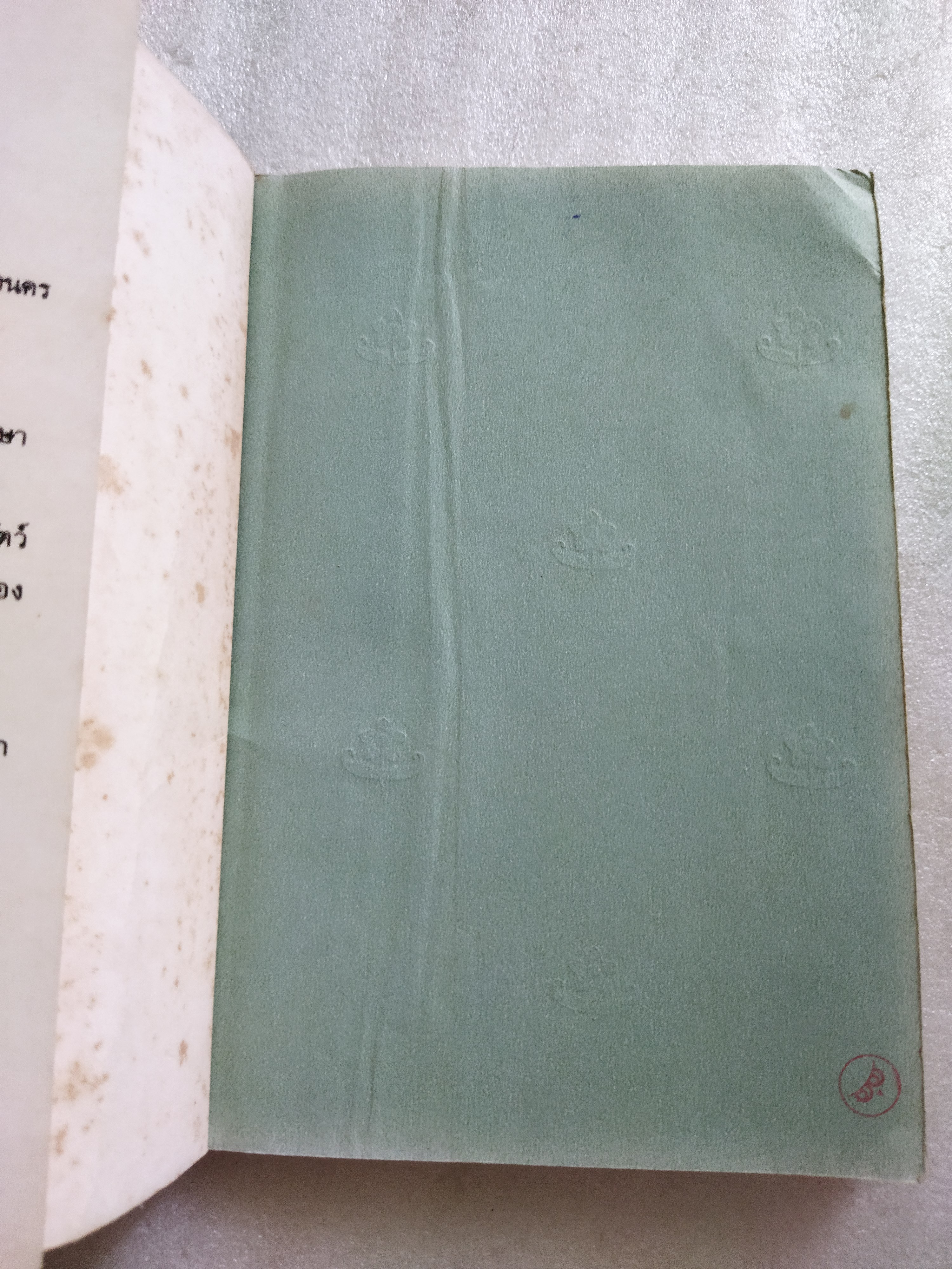 เด็กชายปลายสวน / ธเนศ ขำเกิด