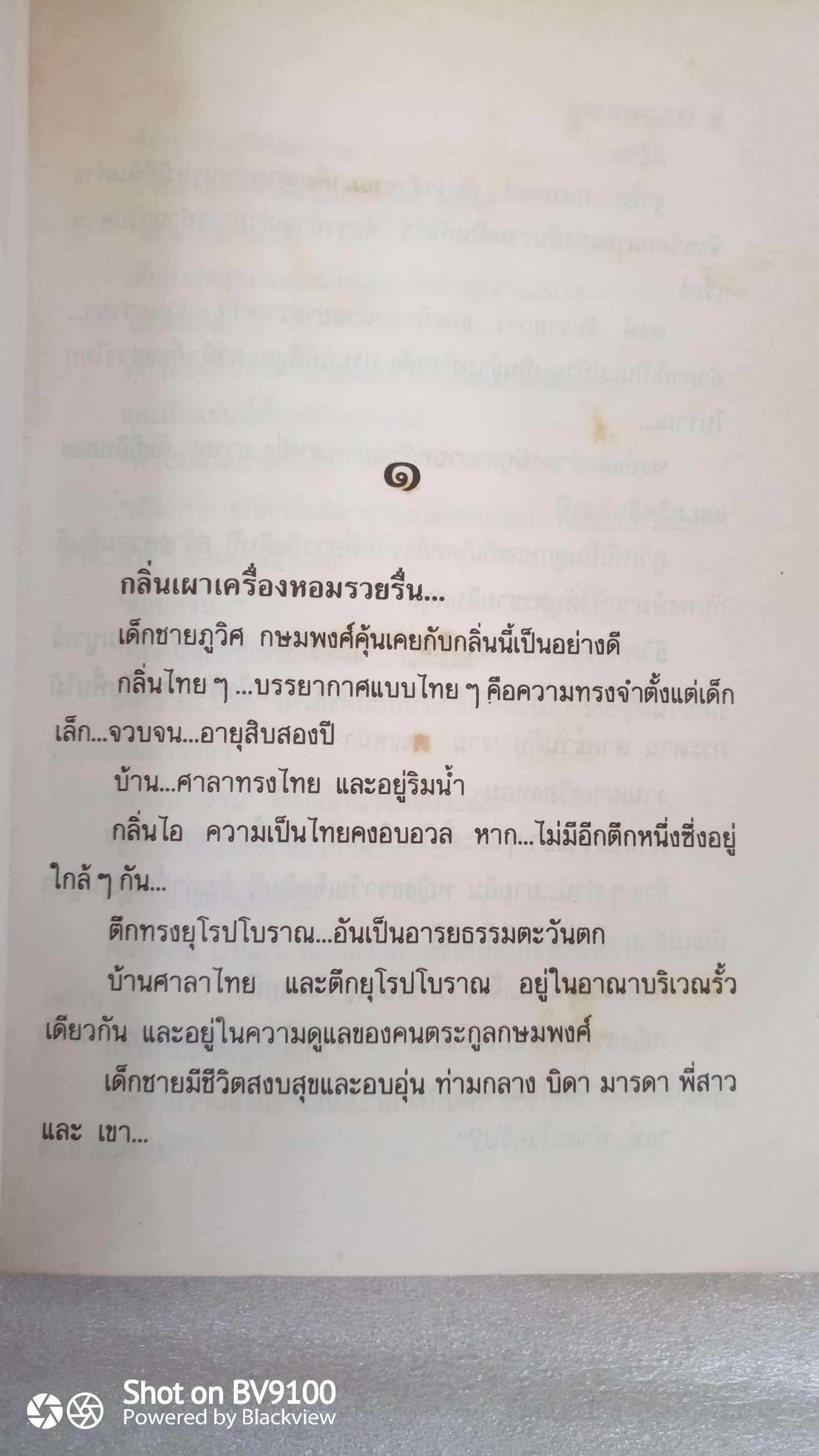เงาเคหาสน์ *ตำหนิ / โสภี พรรณราย