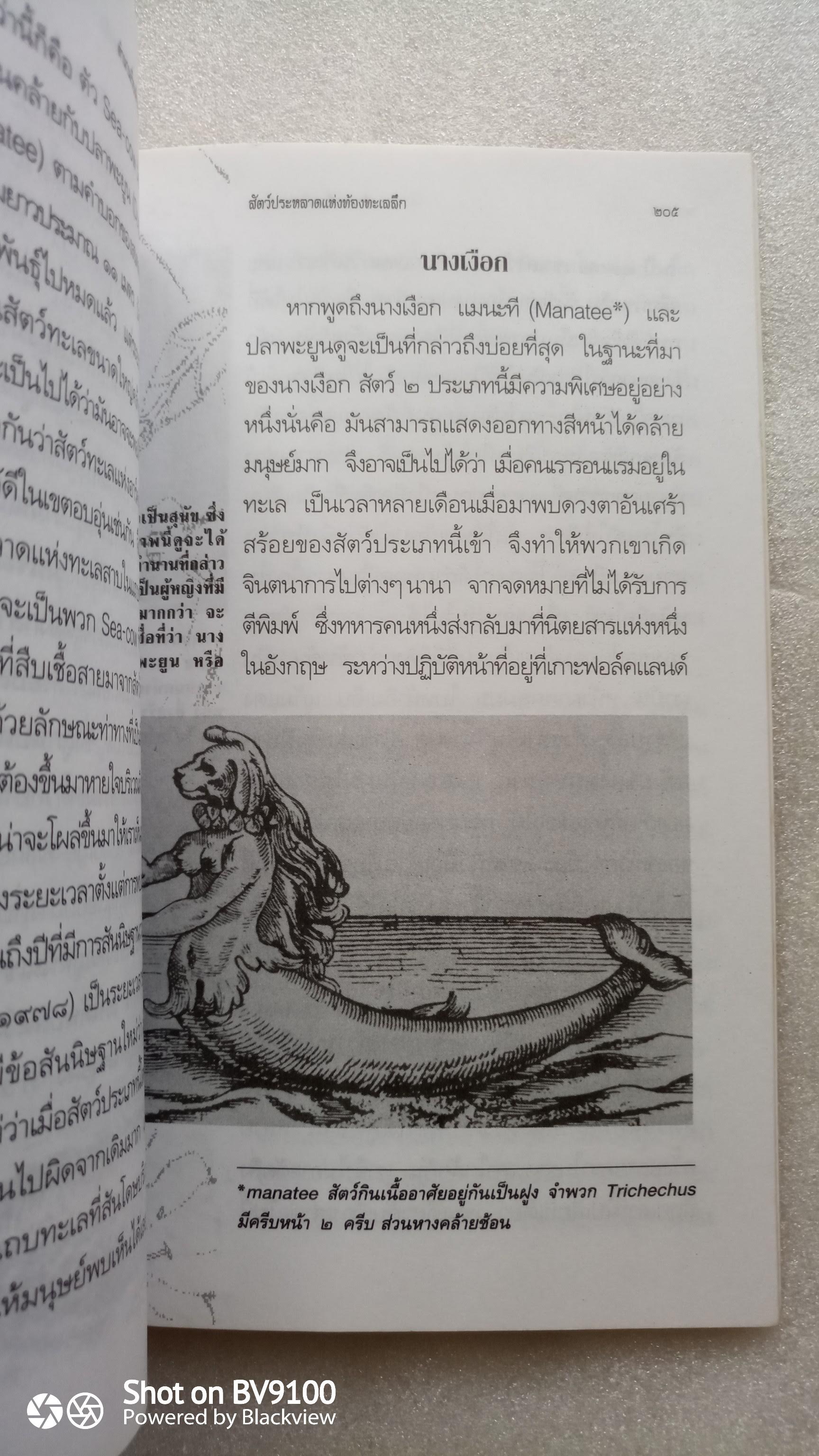 ตำนานเรื่องตัวประหลาด / บัวแก้ว ไชยหลวงผา