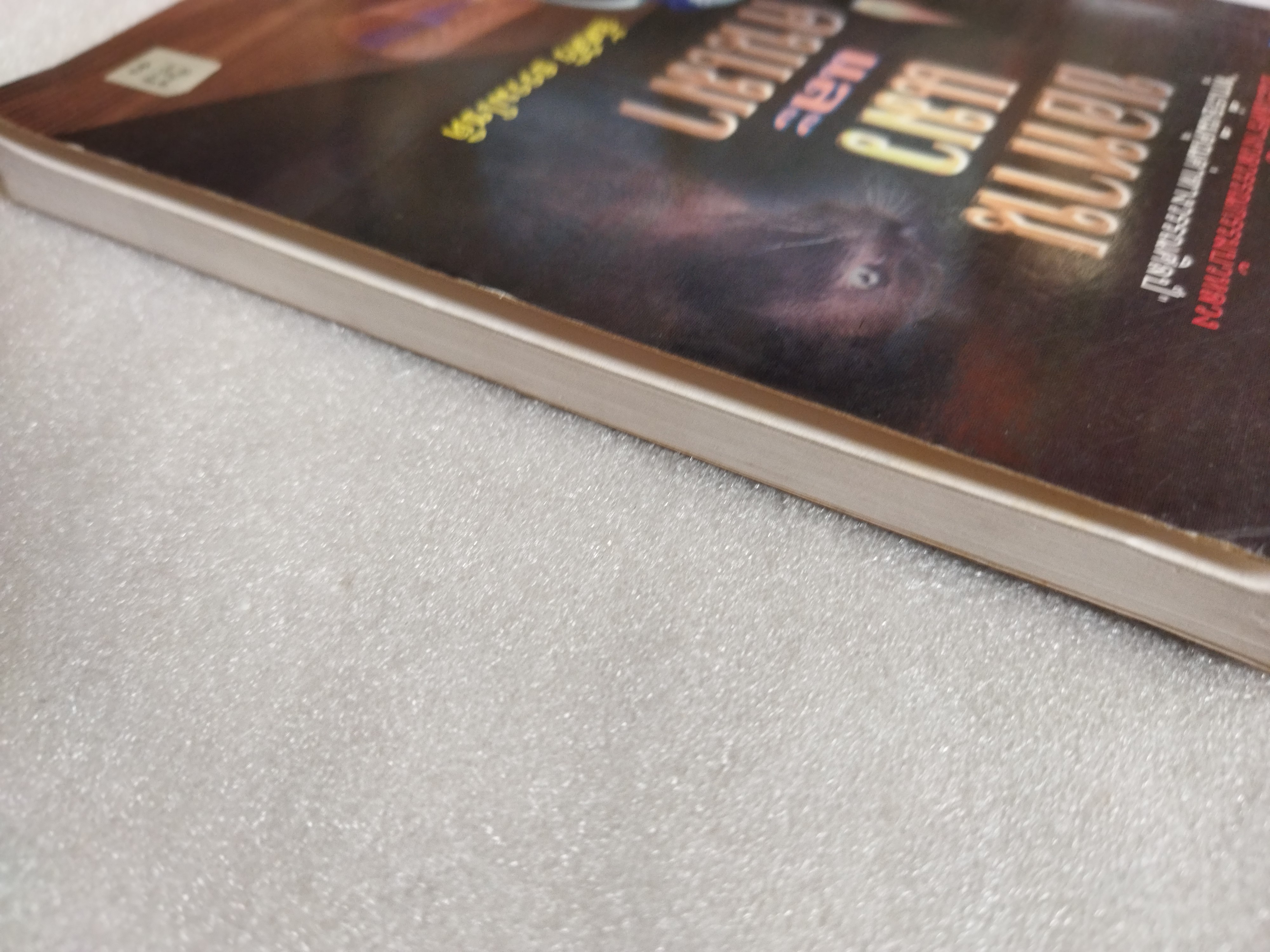 ขอทานแมวและคนเมา / อัศศิริ ธรรมโชติ