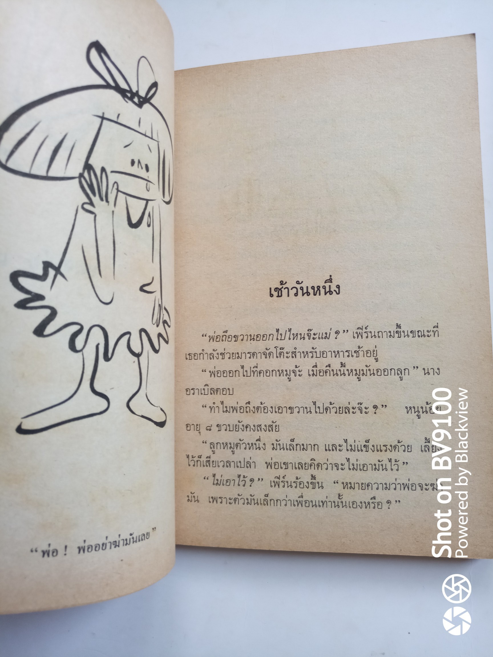 แมงมุมเพื่อนรัก