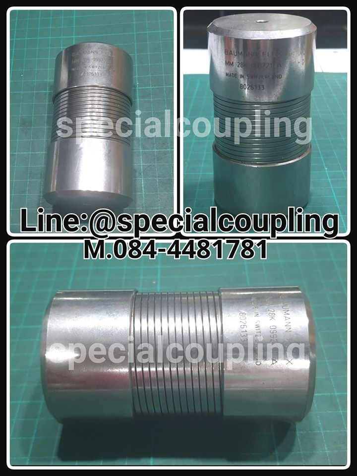 Baumannflex Coupling