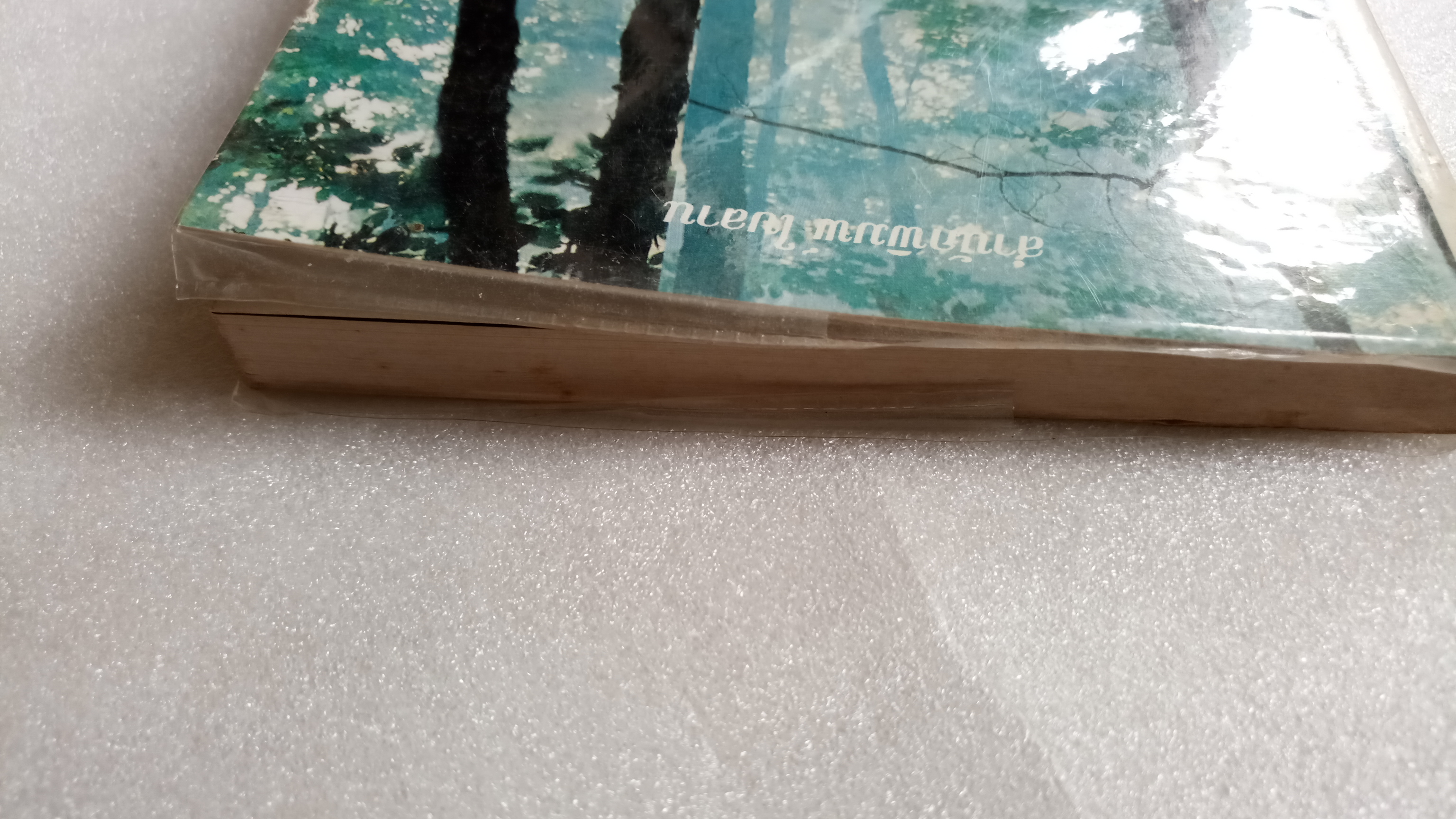 คดีฆ่า..ครูนิตย์ คนรักป่า / พล.ต.ต.สมเกียรติ เพิ่มทรัพย์