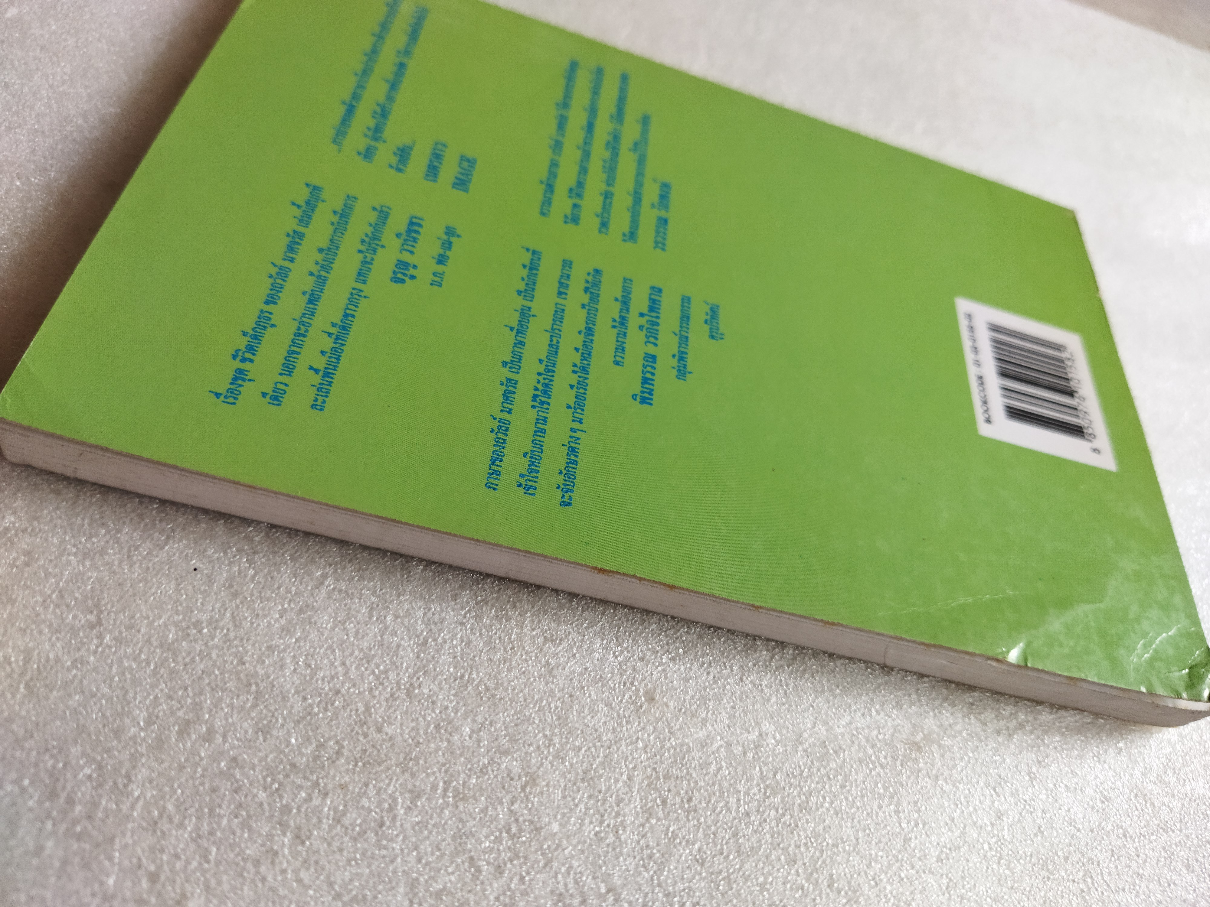 ในทุ่งกว้าง / ถวัลย์ มาศจรัส