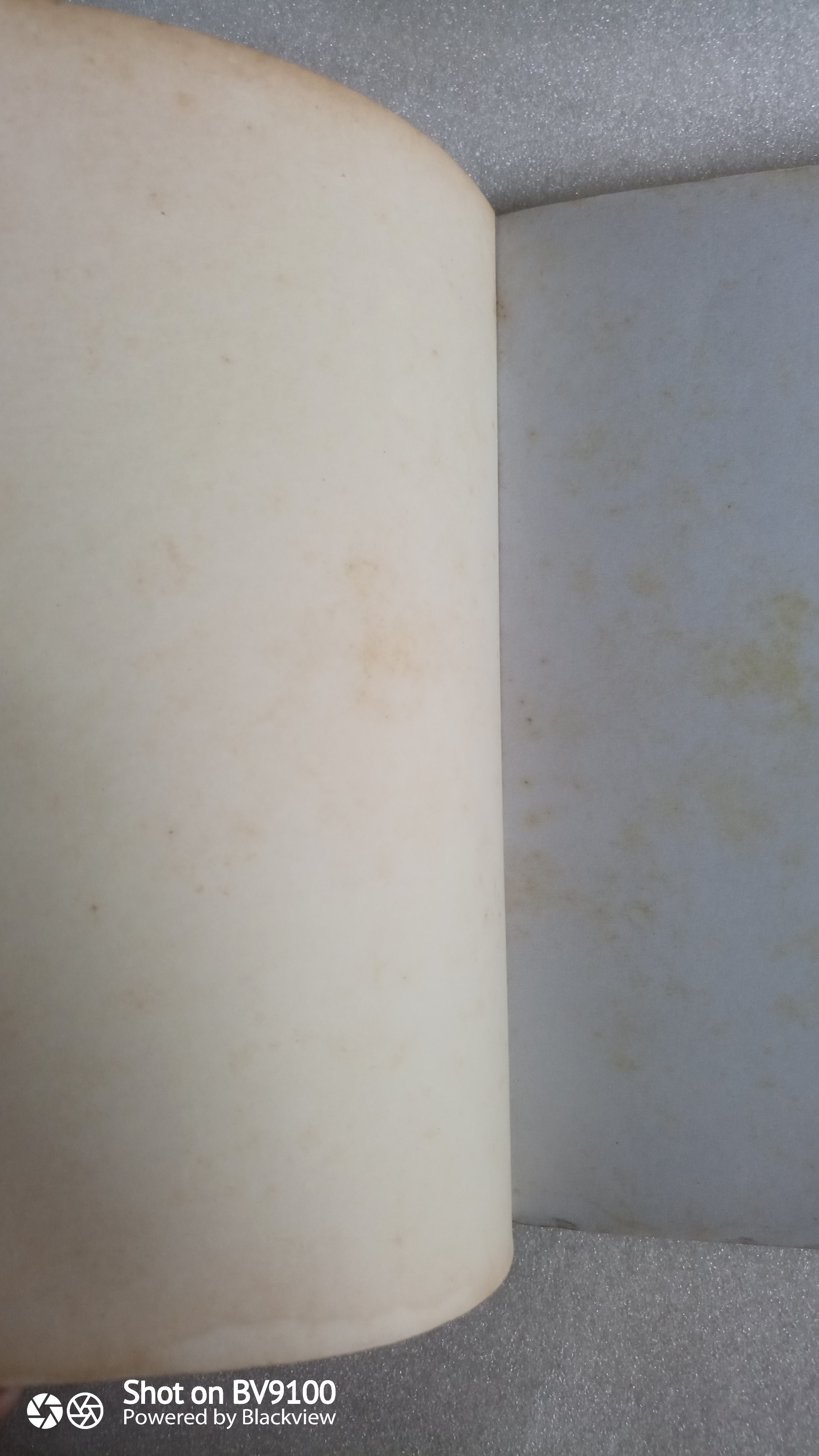 ลมเหนือและป่าหนาว / มาลา คำจันทร์