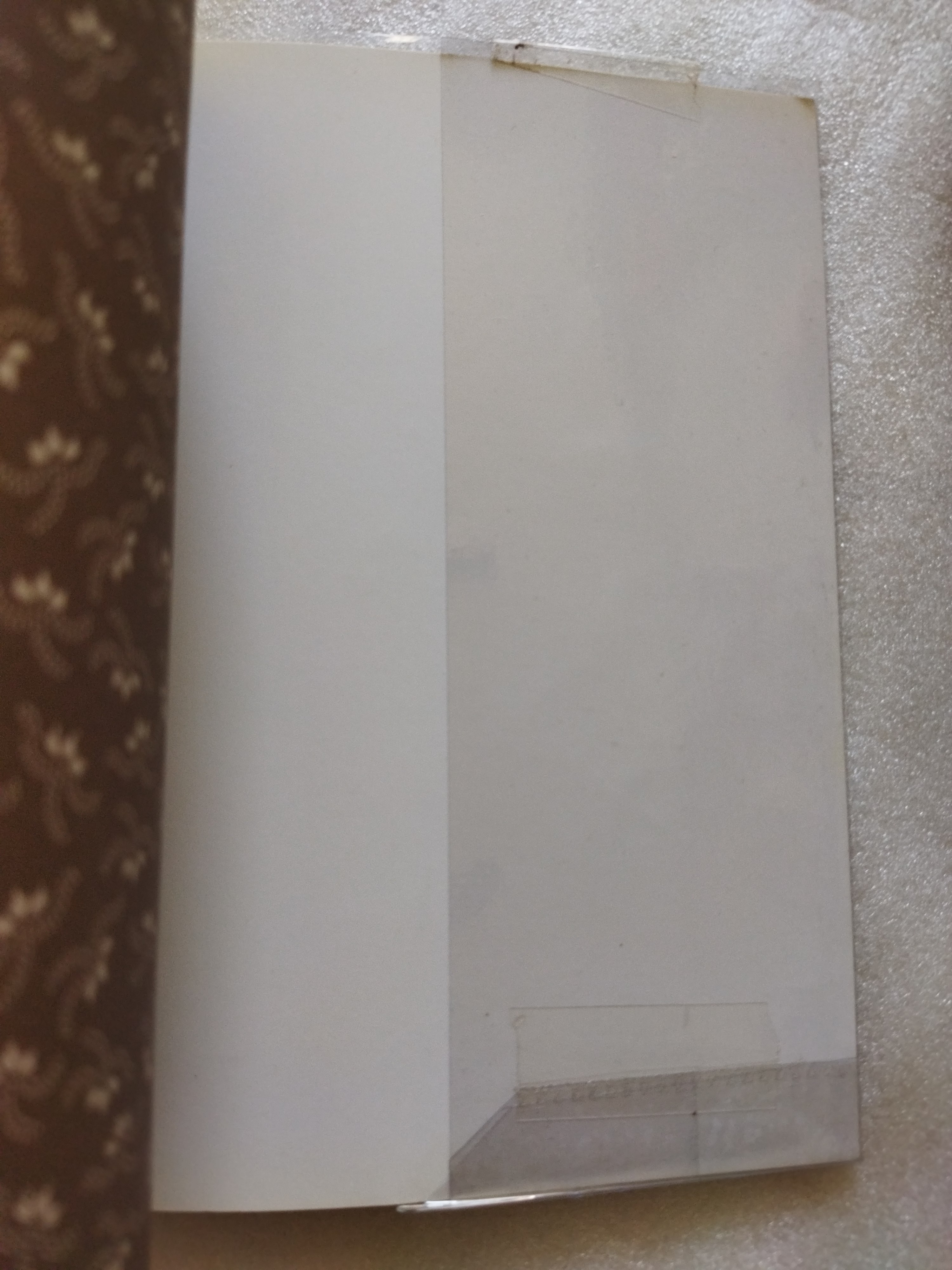 เพื่อนงาม ติช นัท ฮันห์