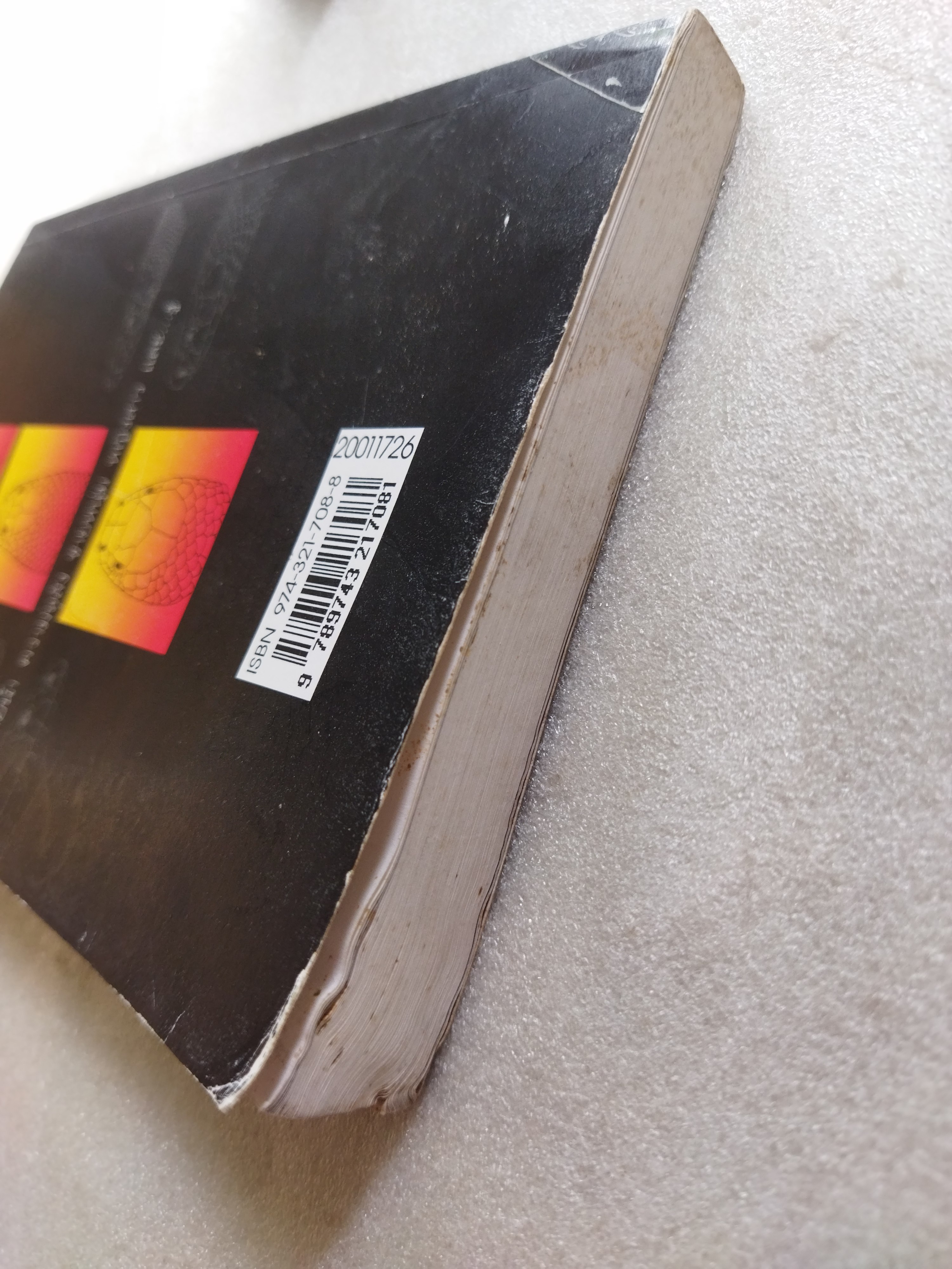 แม่เบี้ย /วาณิช จรุงกิจอนันต์