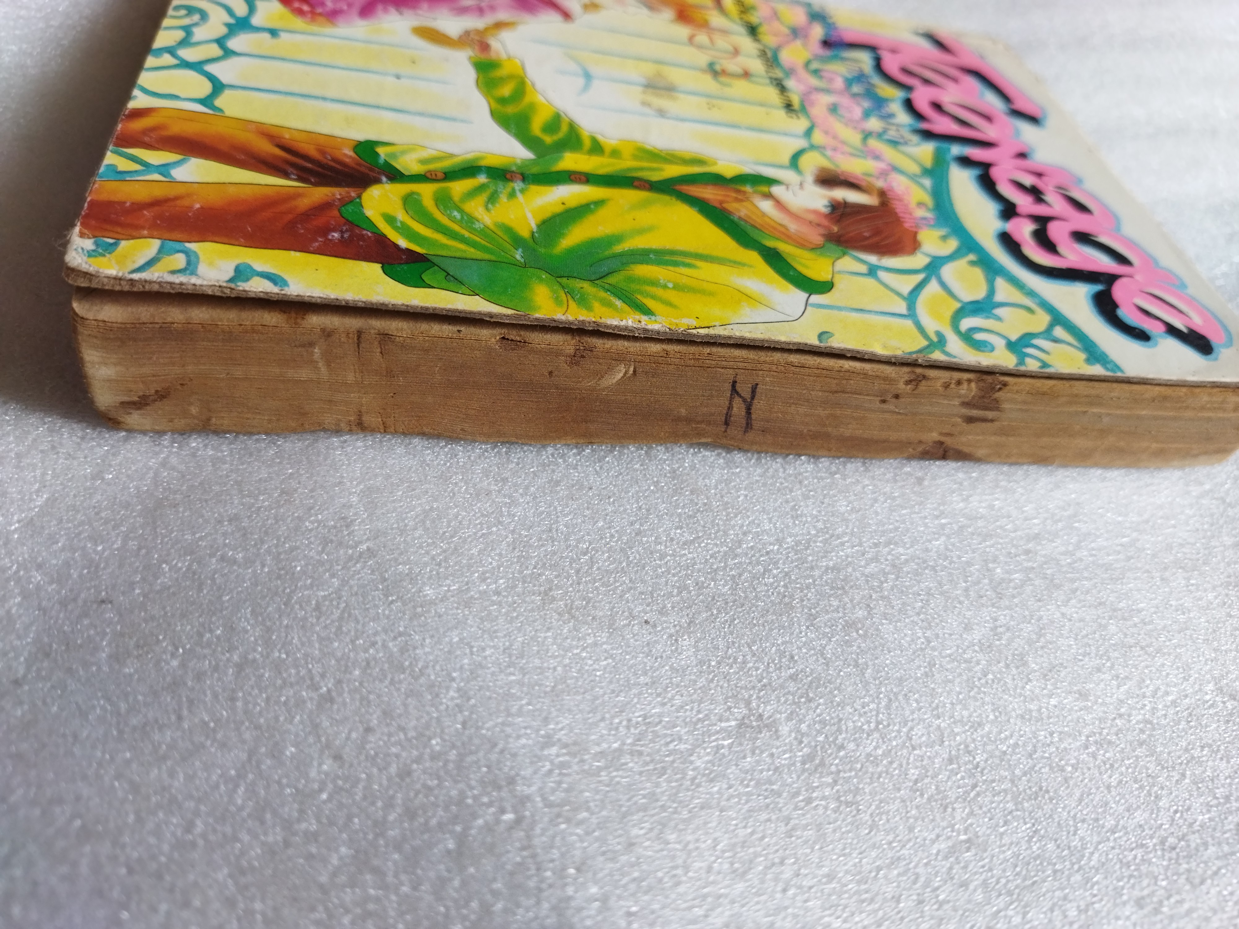 Teenage ทีนเอจ / เล่มเดียวจบ