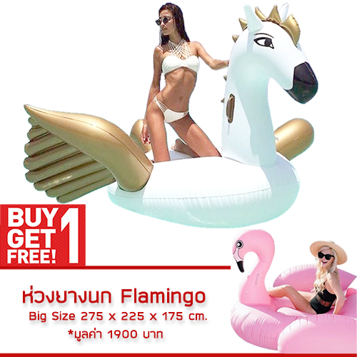 แพยาง Pegasus Big Size แถม Free แพยาง Flamingo Big Size
