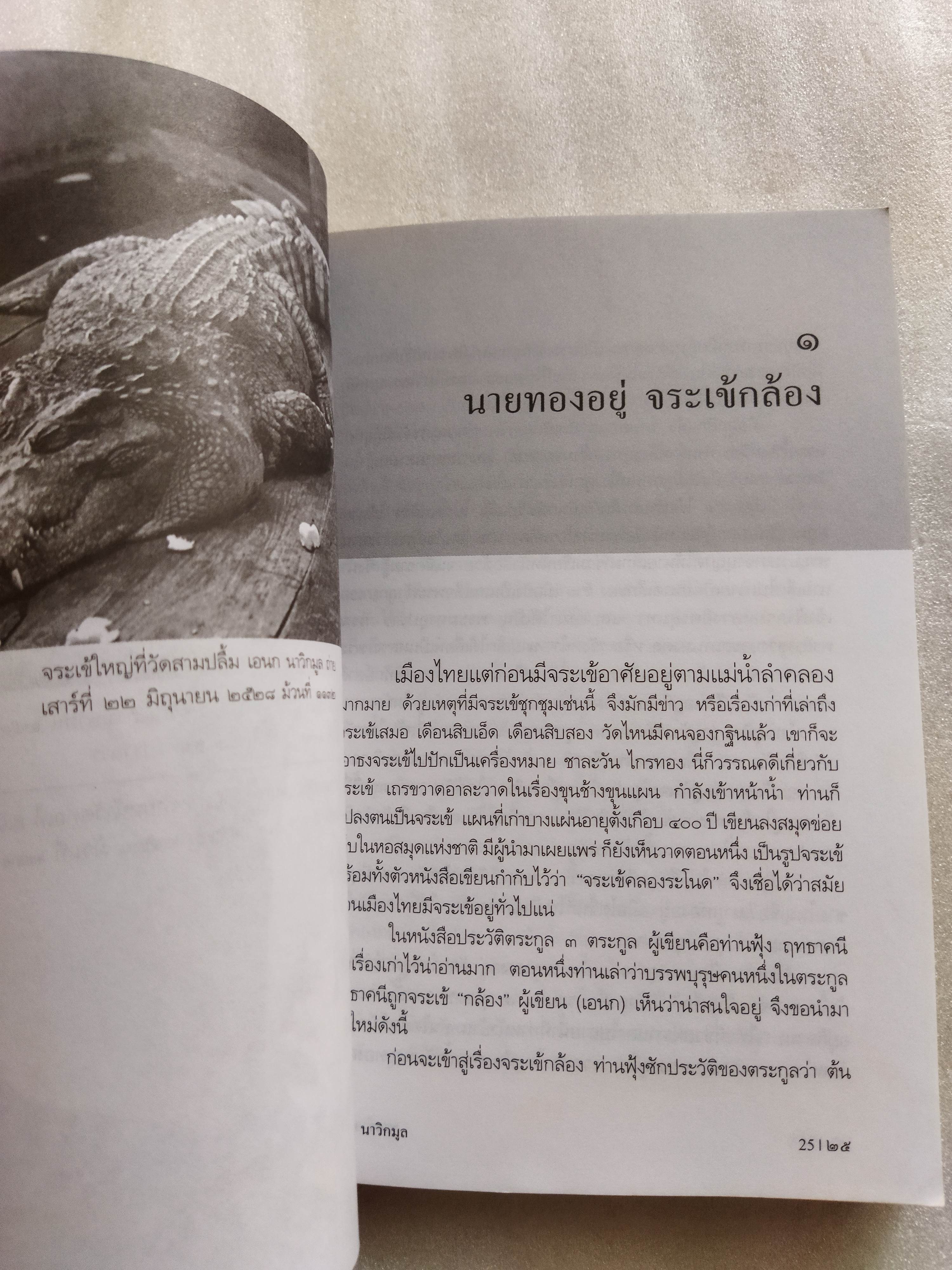 ชายชาวสยาม / เอนก นาวิกมูล *ตำหนิ