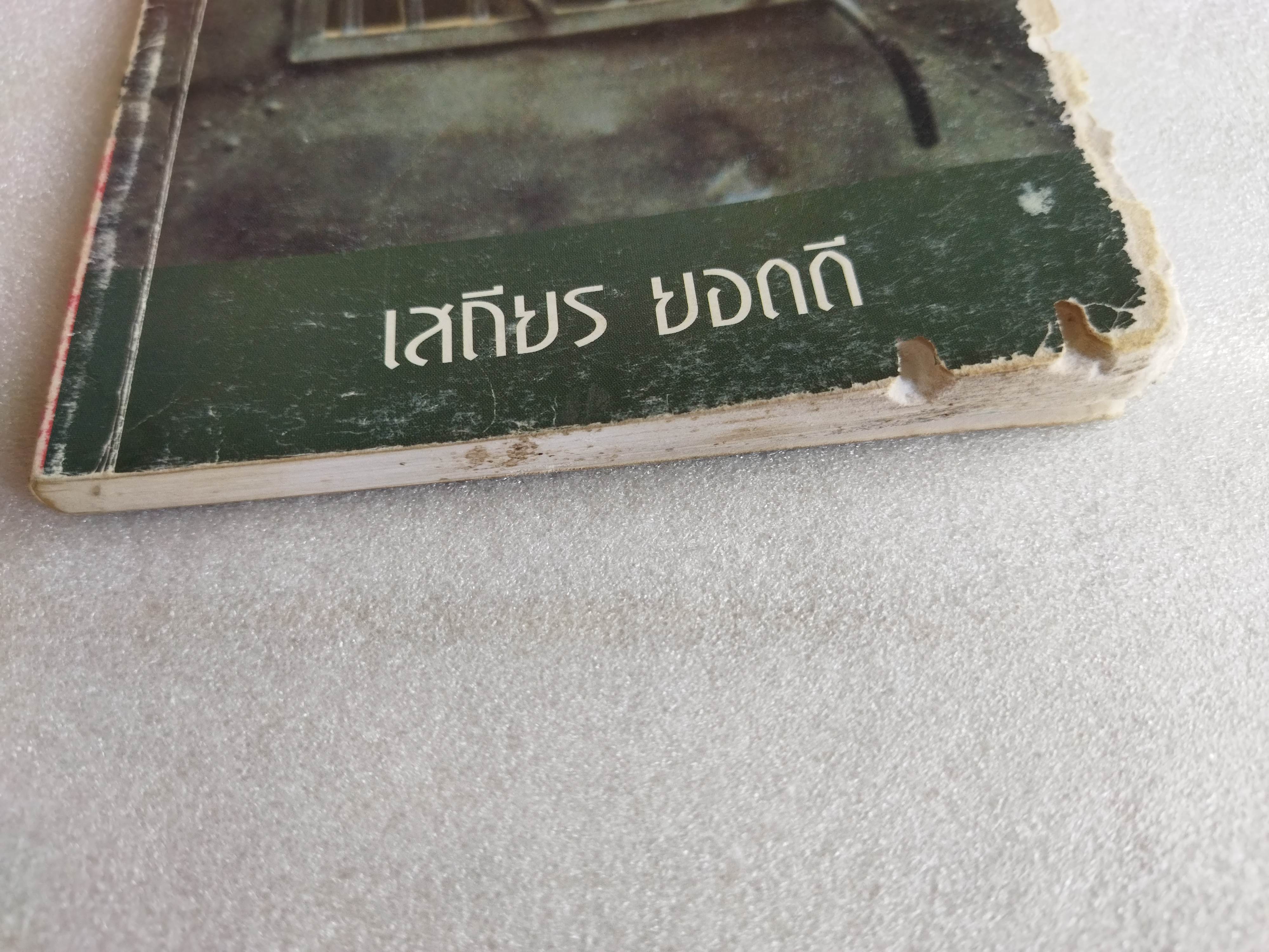 คนนอกระบบ / เสถียร ยอดดี