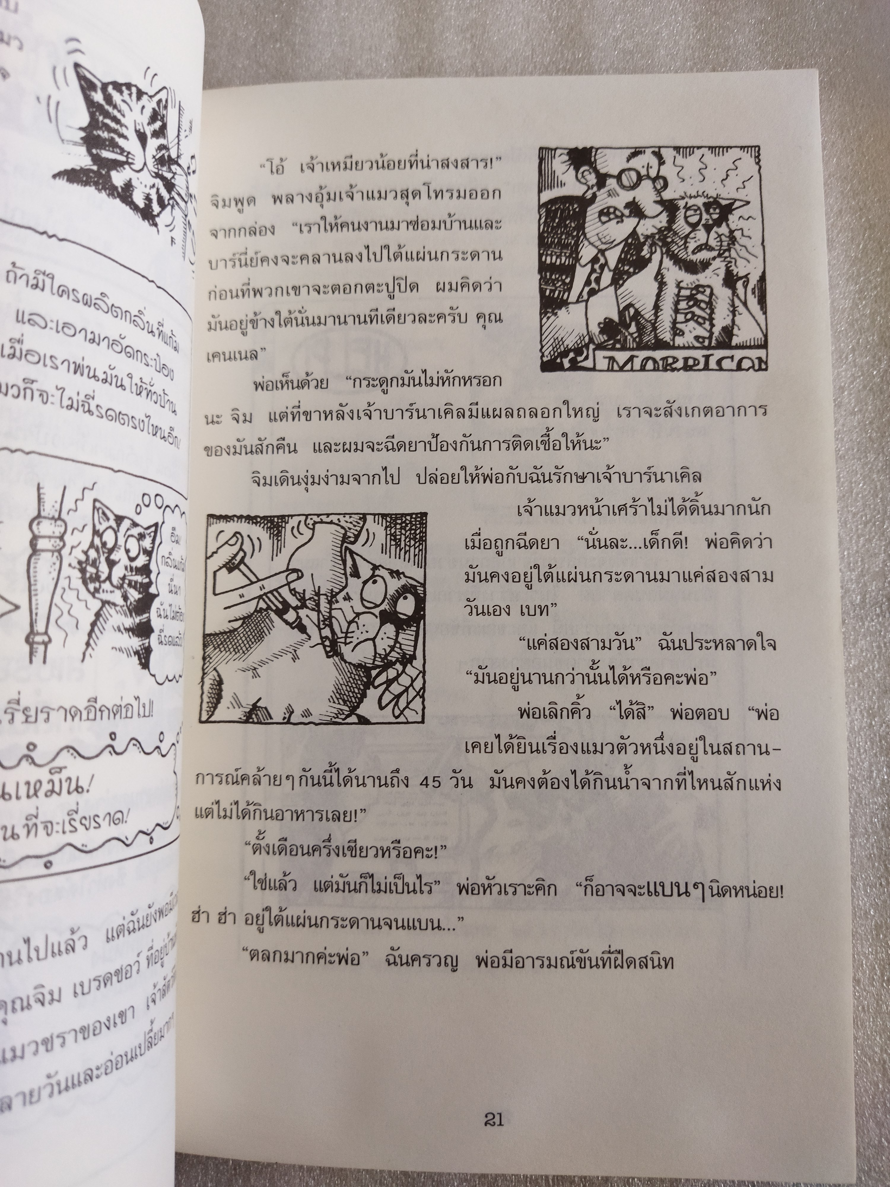 ทำไงดี! แมวของฉันกลายเป็นหมู