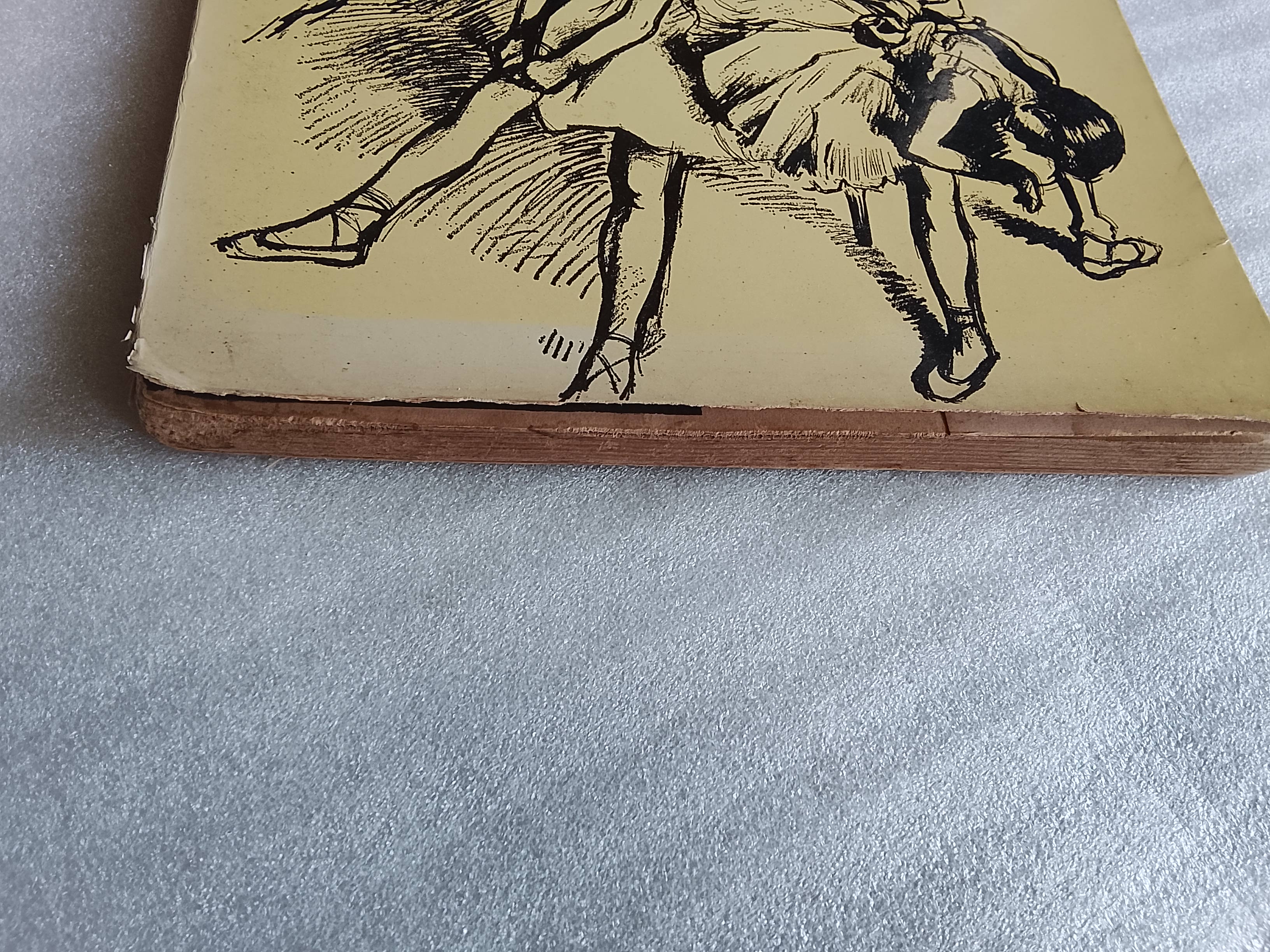 หนังสือภาพวาด