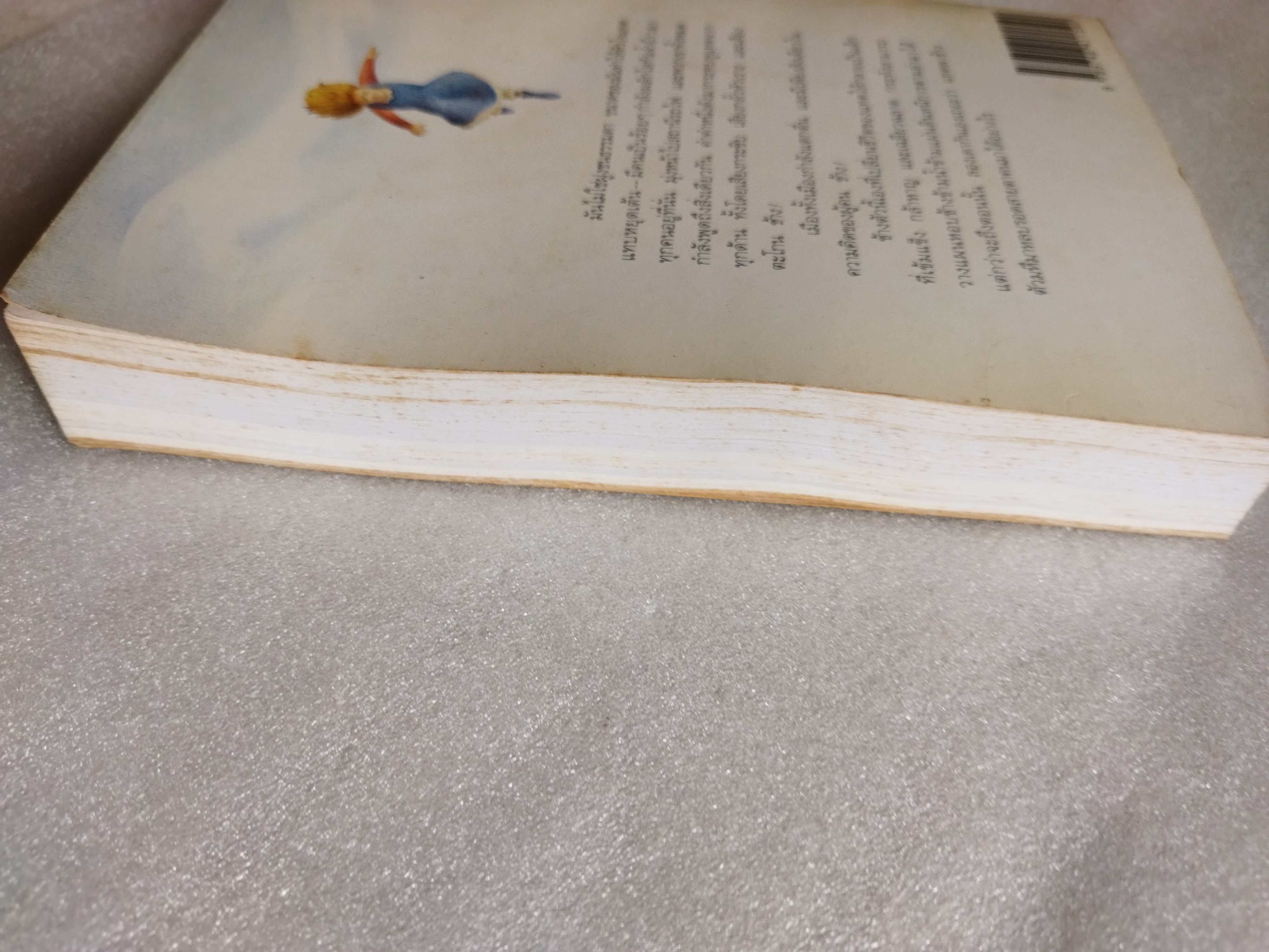 หอบช้างหนีสุดแผ่นดิน The great elephant chase / จิลเลียน, ครอสส์