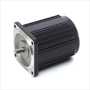 EXCEM 6W E6I6PXL (Induction motor)