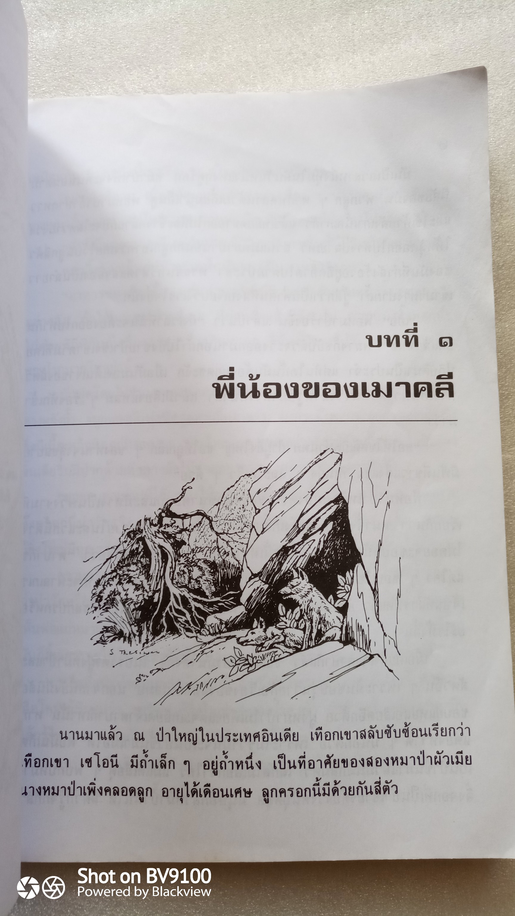 เมาคลี ลูกหมาป่า