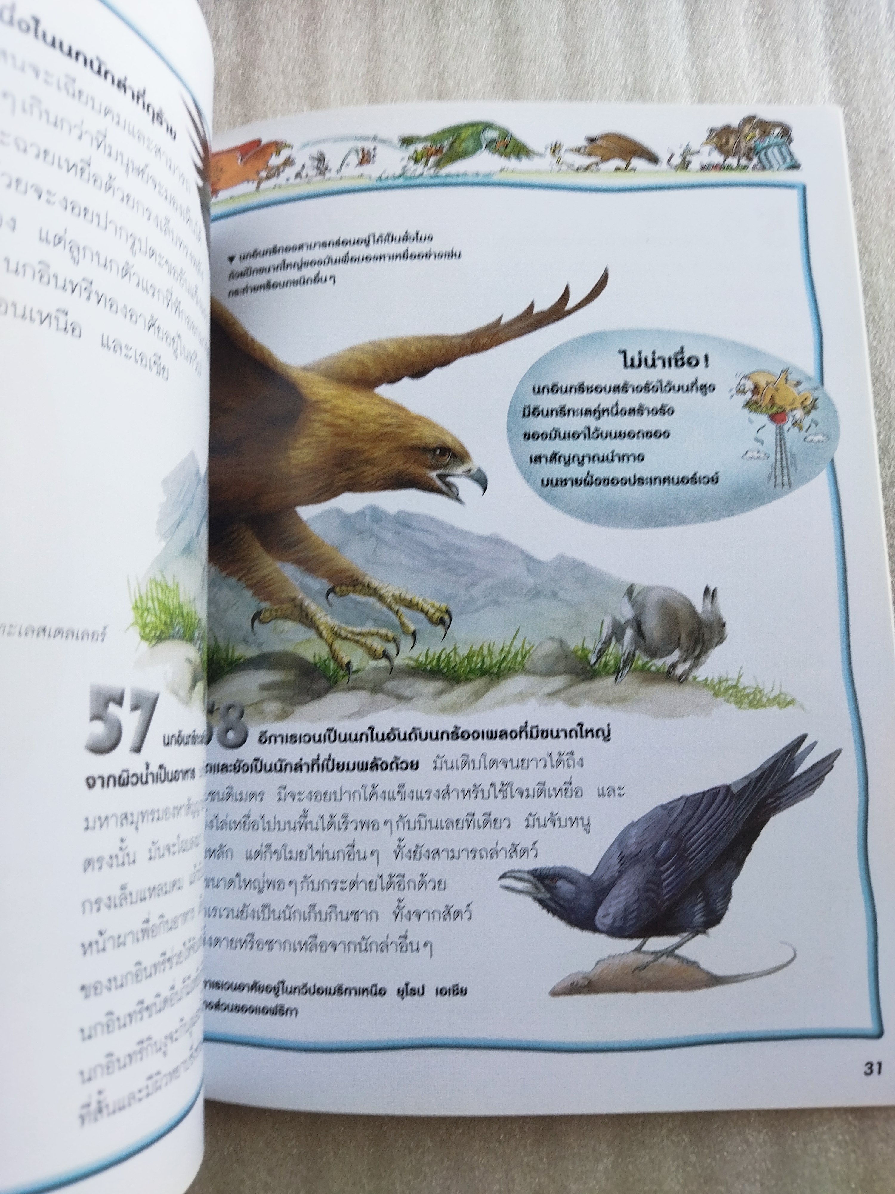 100 เรื่องน่ารู้เกี่ยวกับนก