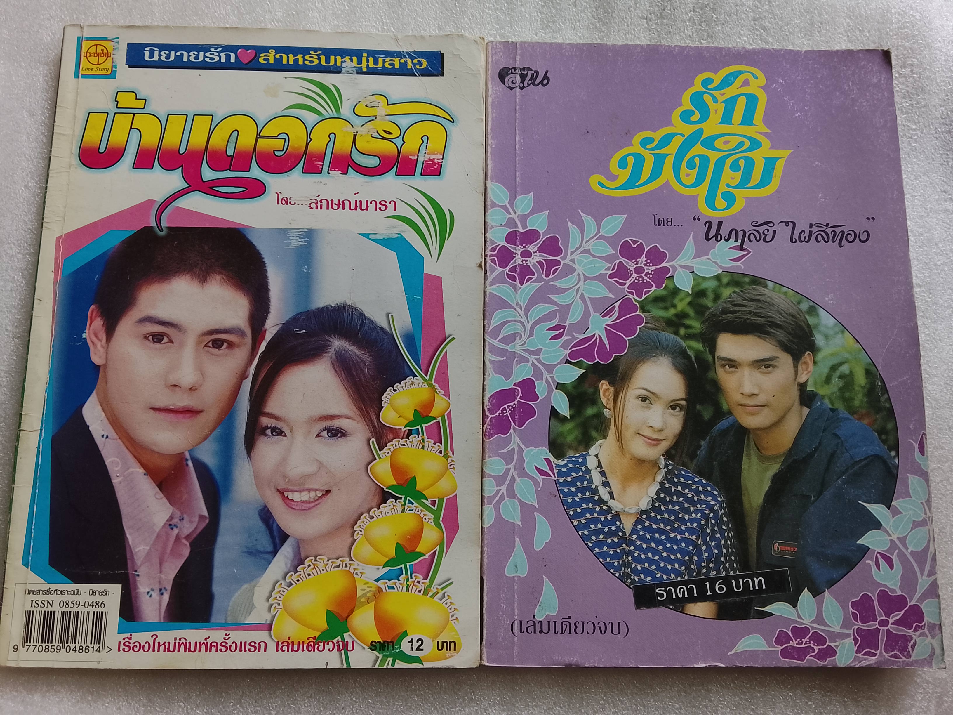 บ้านดอกรัก + รักบังใบ
