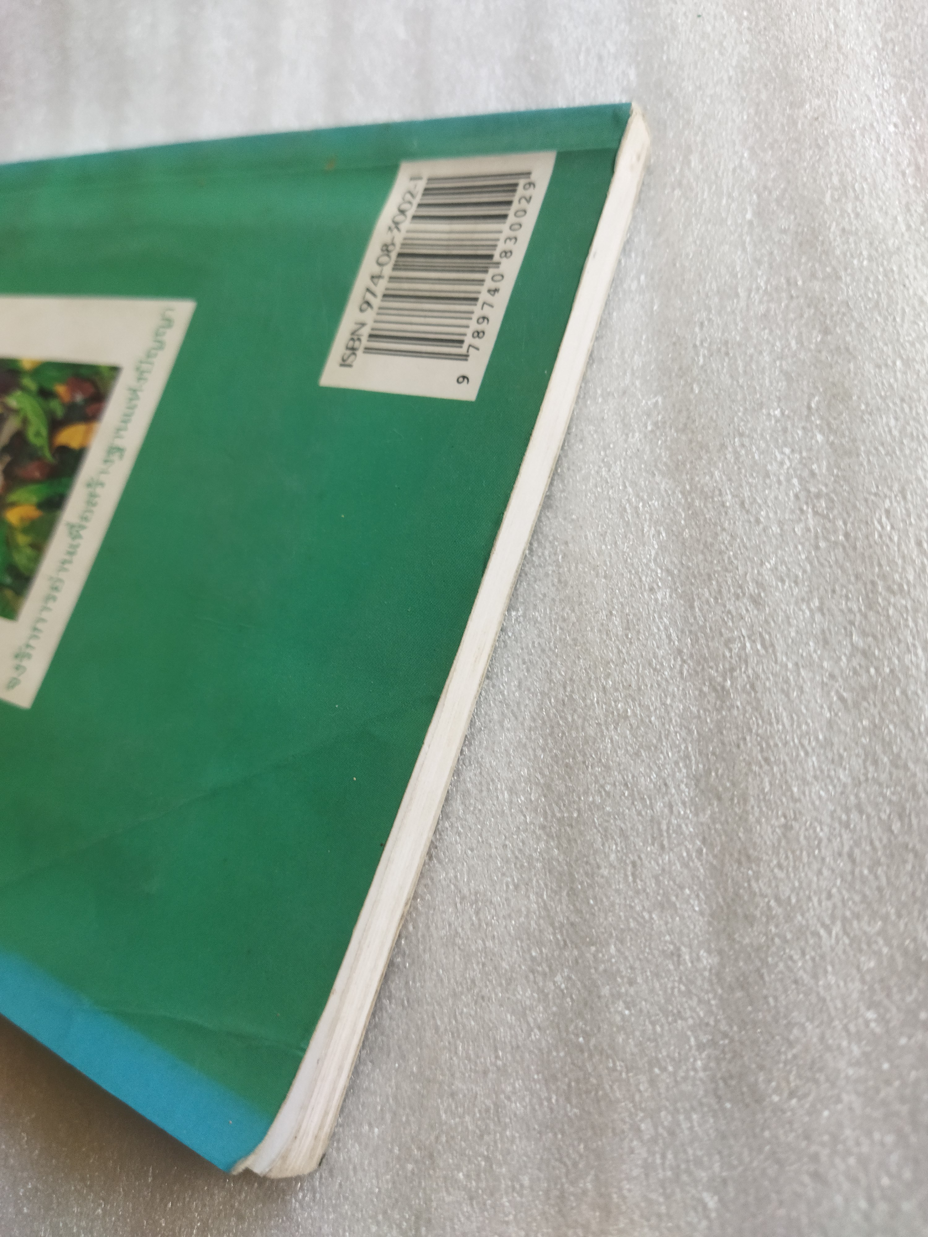 ทุ่งโล่งดงใหญ่ / โชติ ศรีสุวรรณ