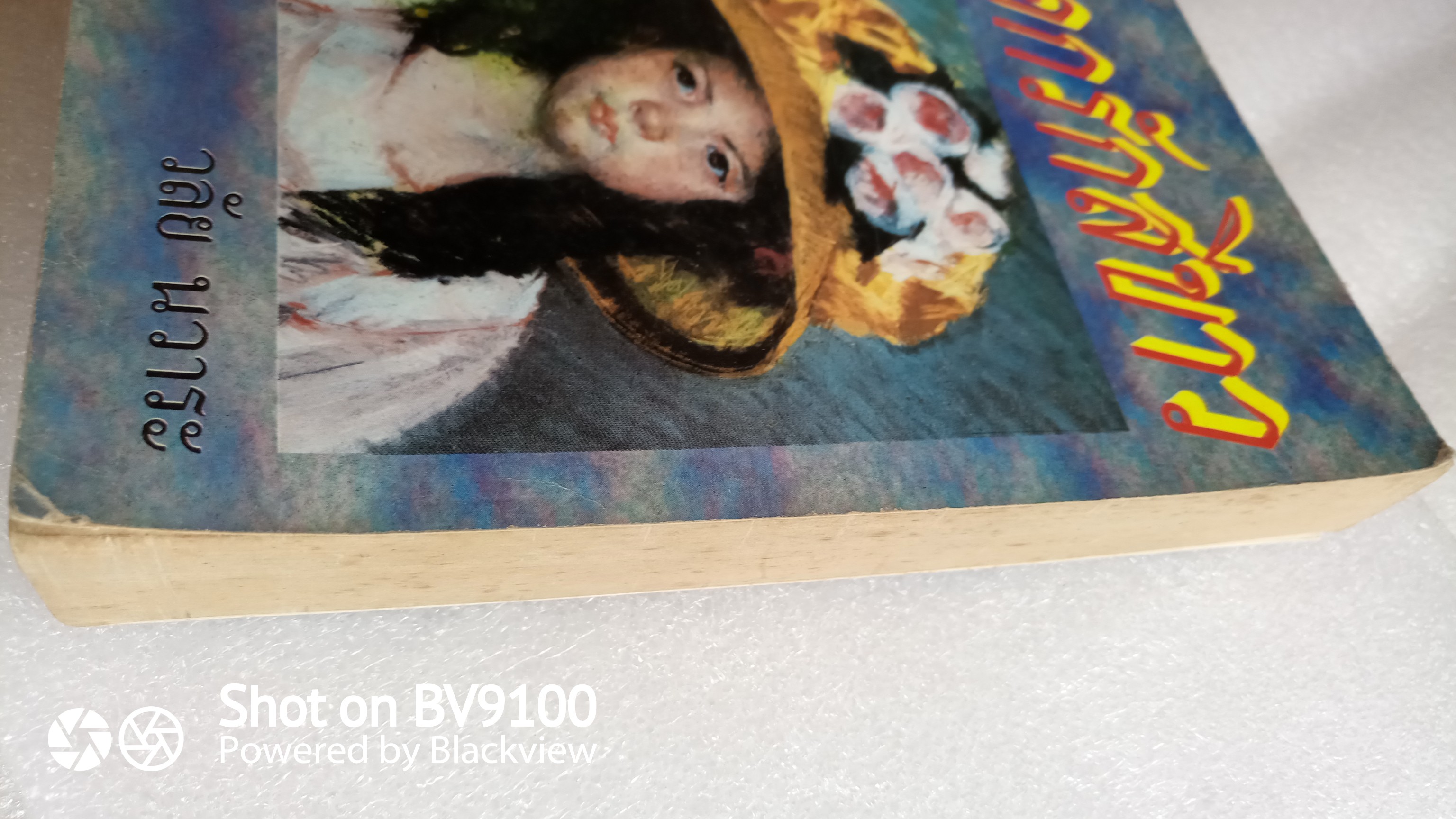 ดอกรักสีขาว / วลัย นวาระ