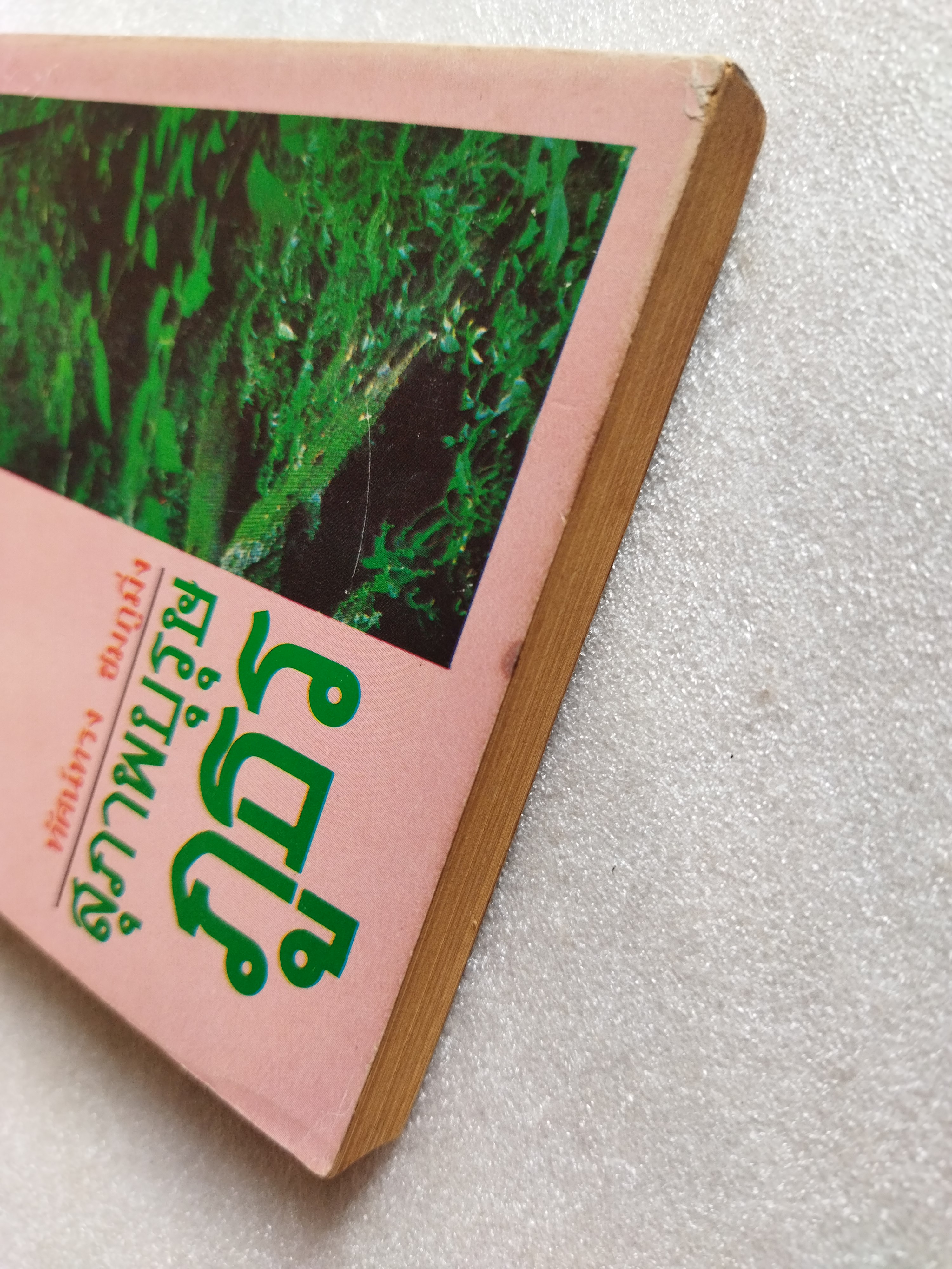 สุภาพบุรุษภูธร/ ทัศน์ทรง ชมภูมิ่ง