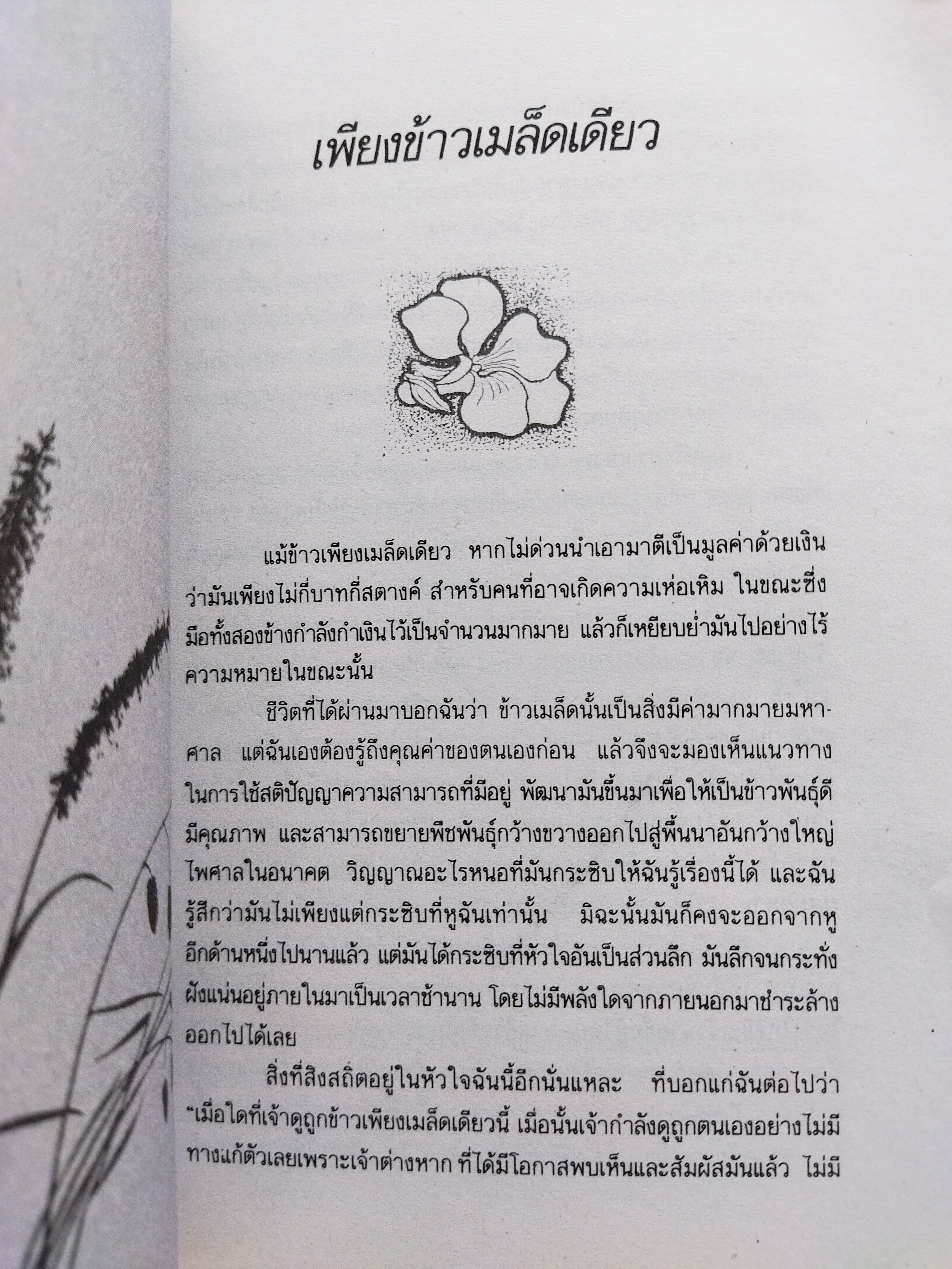 หอมกลิ่นกล้วยไม้ / ระพี สาคริก