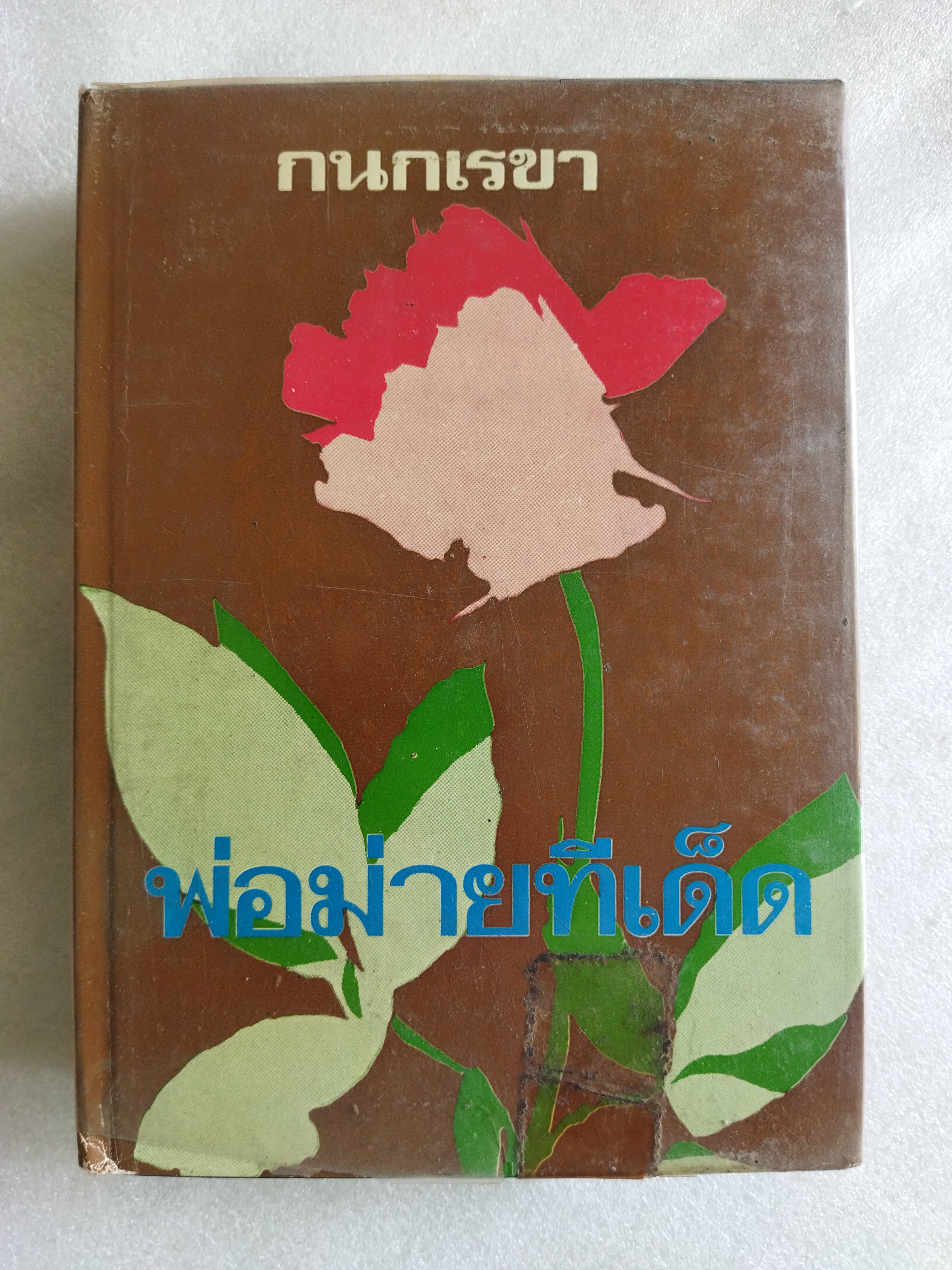 พ่อม่ายทีเด็ด / กนกเรขา