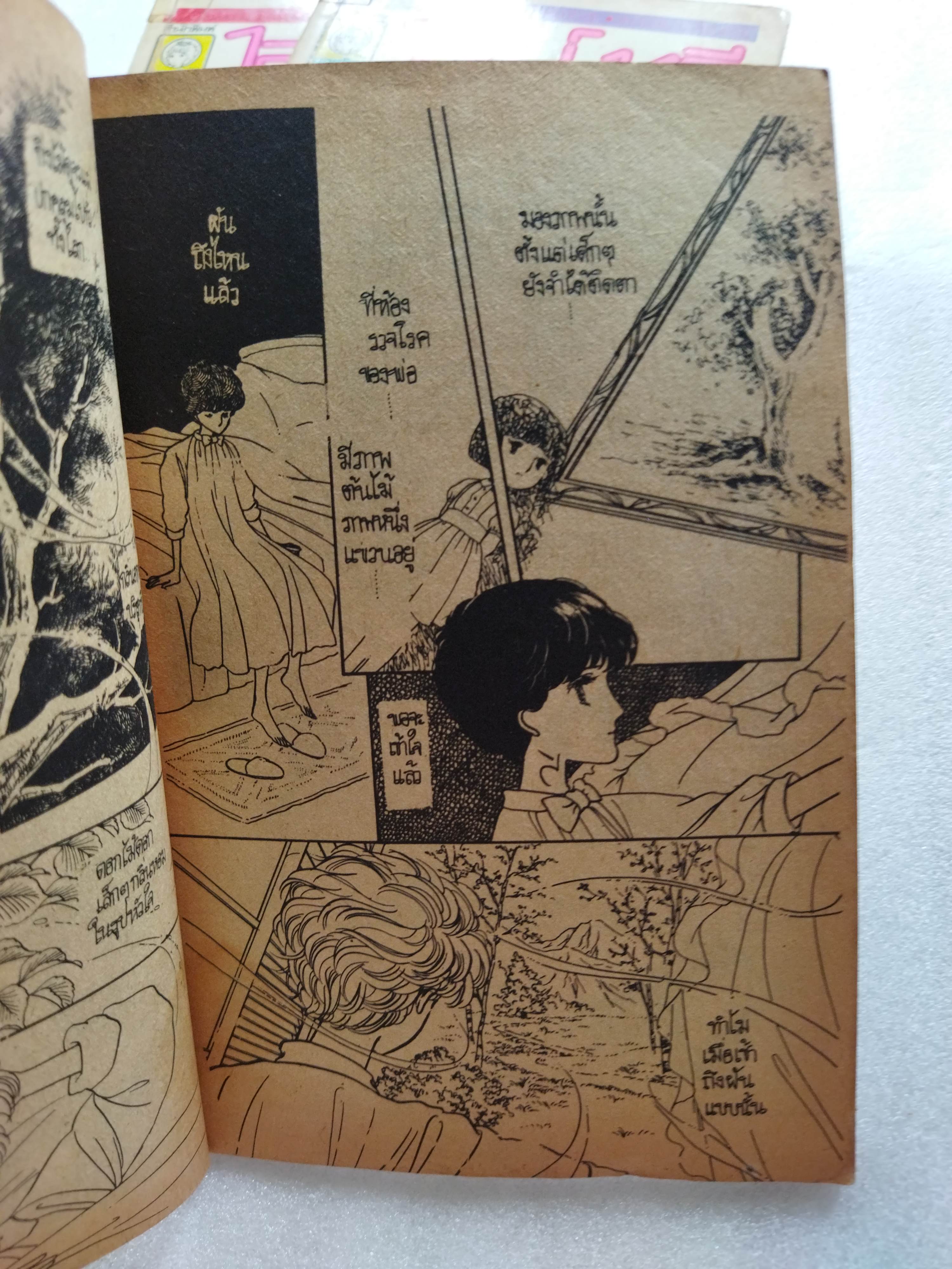 ไลม์ ทรี Lime tree 6 เล่มจบสมบูรณ์