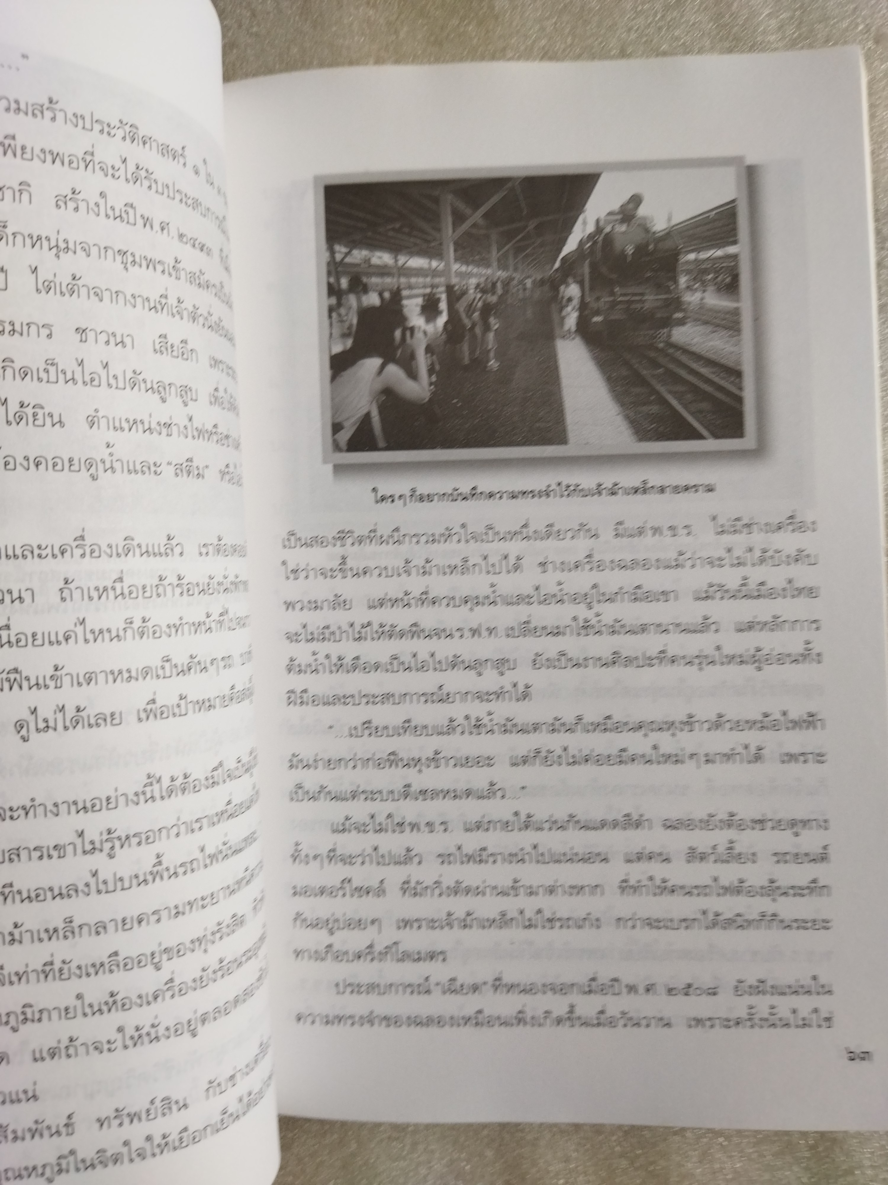 คนโยนฟืน / ธีรภาพ โลหิตกุล