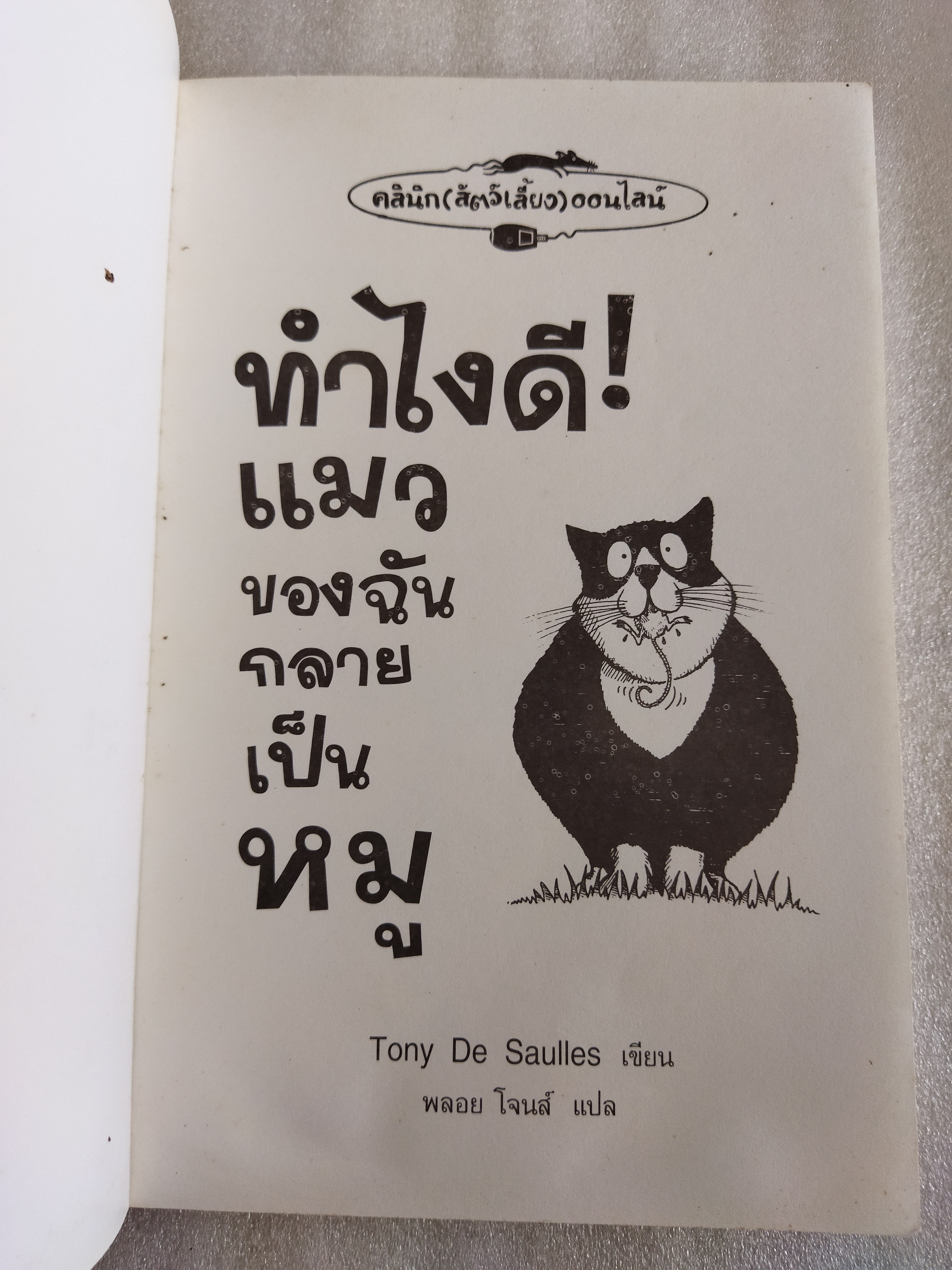 ทำไงดี! แมวของฉันกลายเป็นหมู