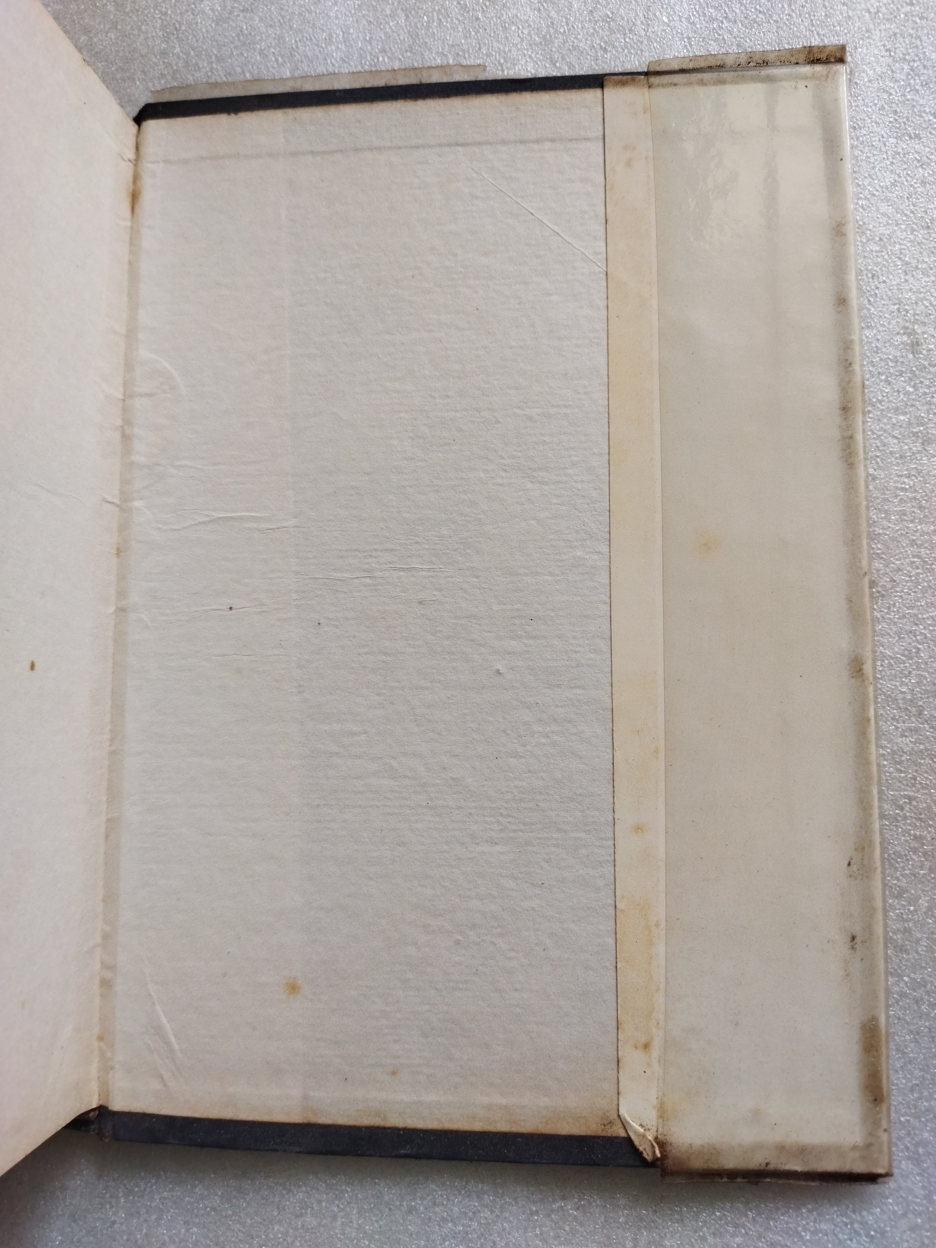 พ่อม่ายทีเด็ด / กนกเรขา