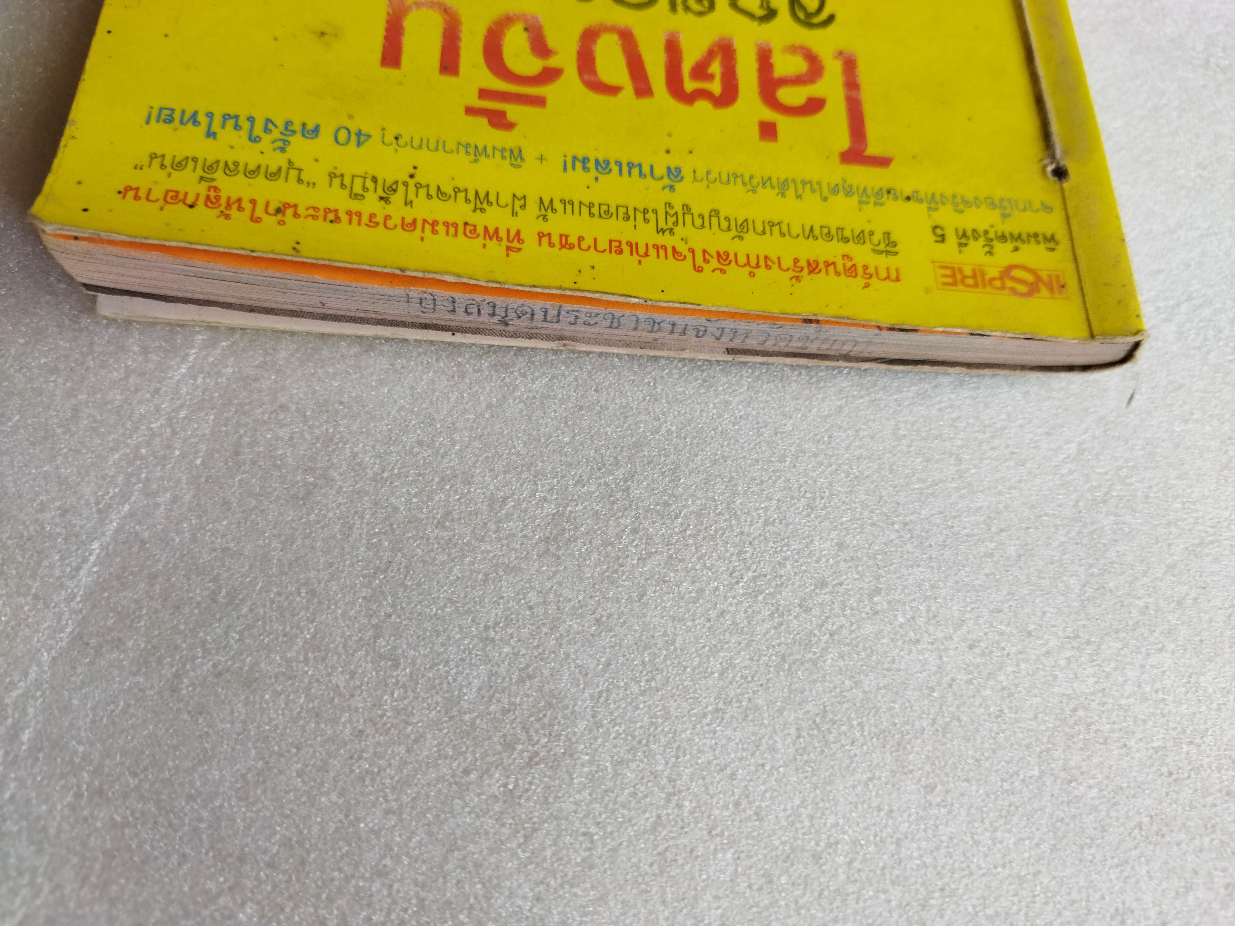 ไล่ตงจิ้น ลูกขอทานผู้ไม่ยอมแพ้ต่อชะตาชีวิต(ฉบับการ์ตูน) / Lai Dong Jin