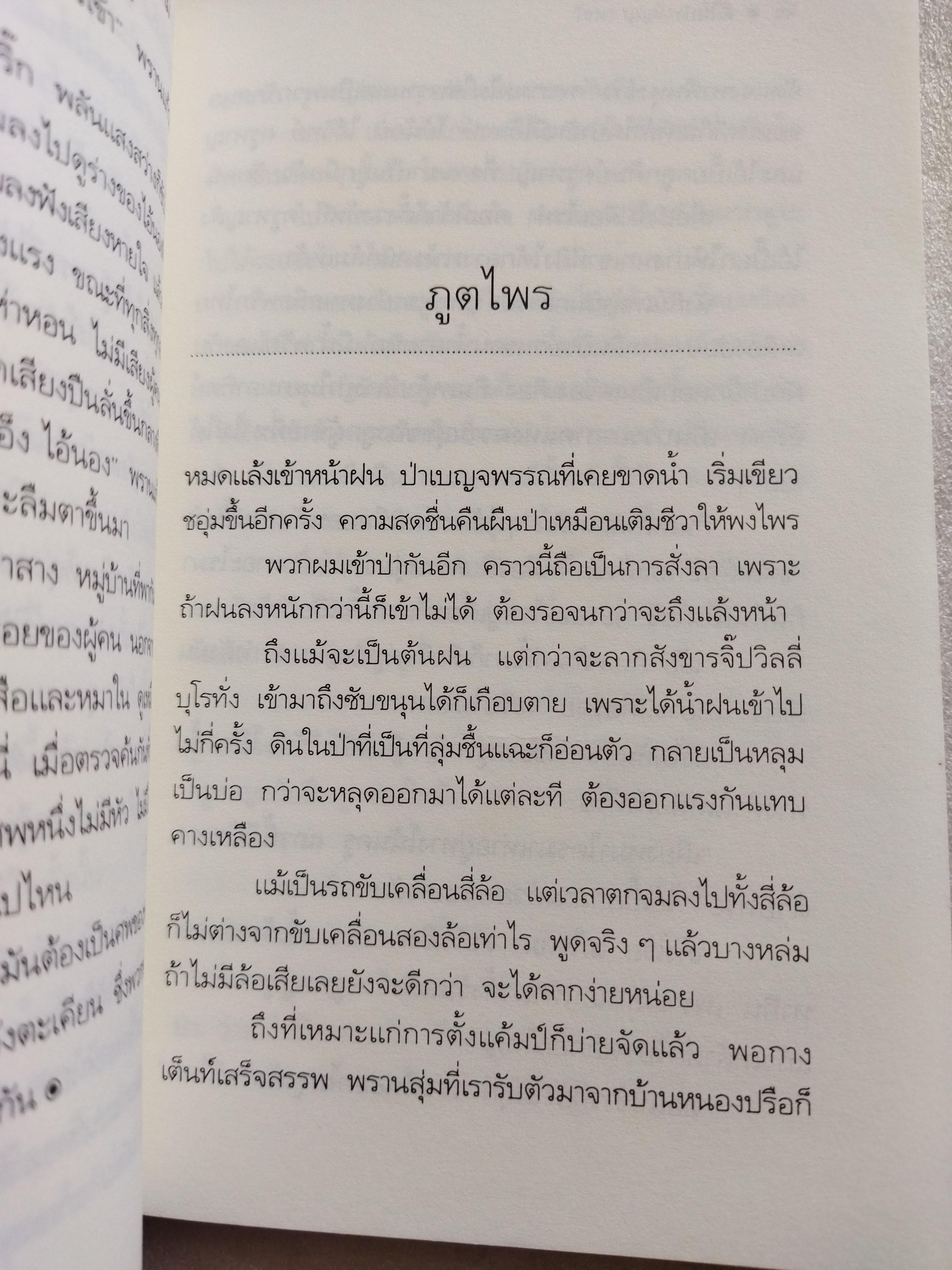 ผีในป่า / วัธนา บุญยัง