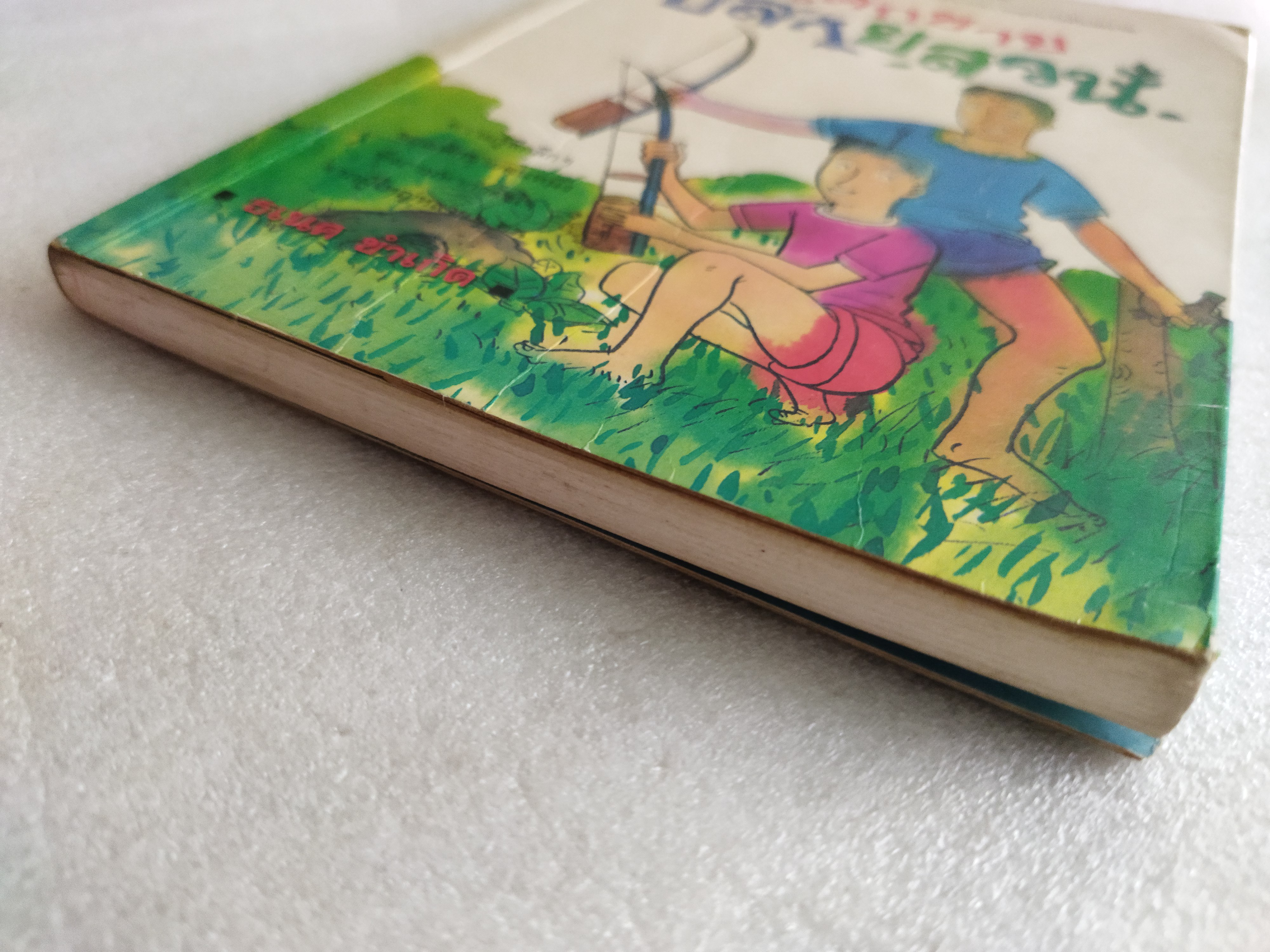 เด็กชายปลายสวน / ธเนศ ขำเกิด