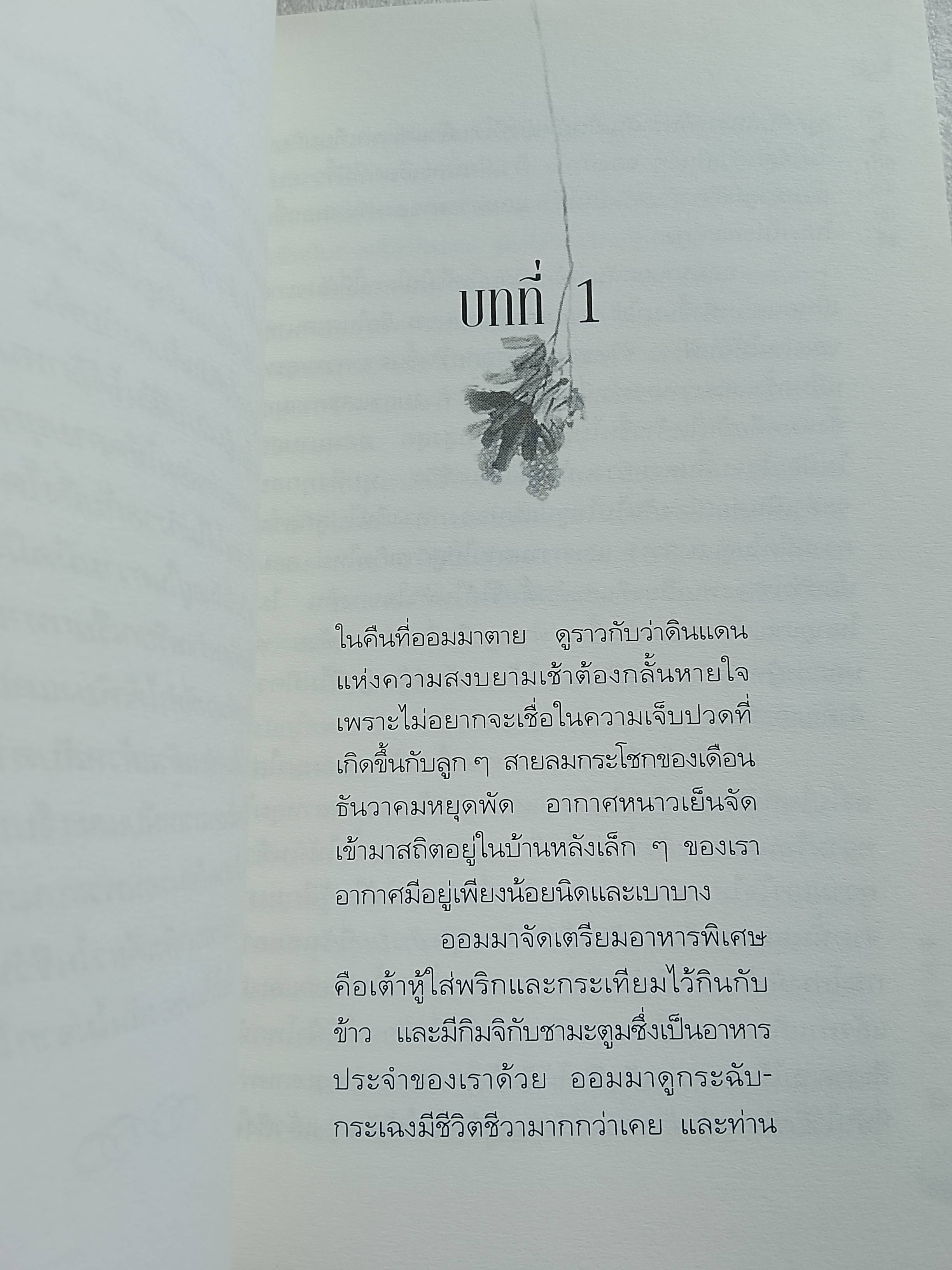 บันทึกเศร้าสาวเกาหลี / เอลิซาเบท คิม
