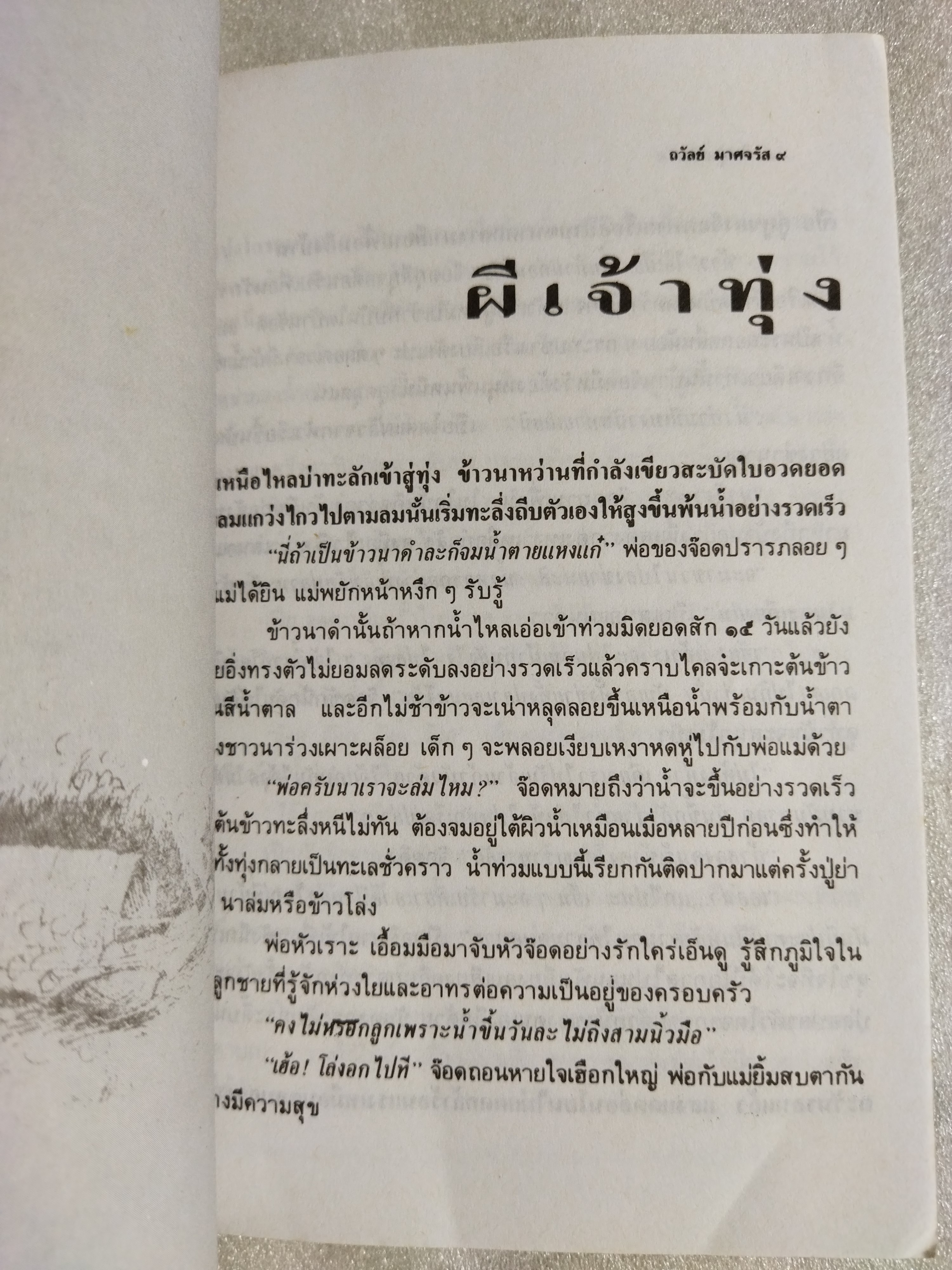 ในทุ่งกว้าง / ถวัลย์ มาศจรัส