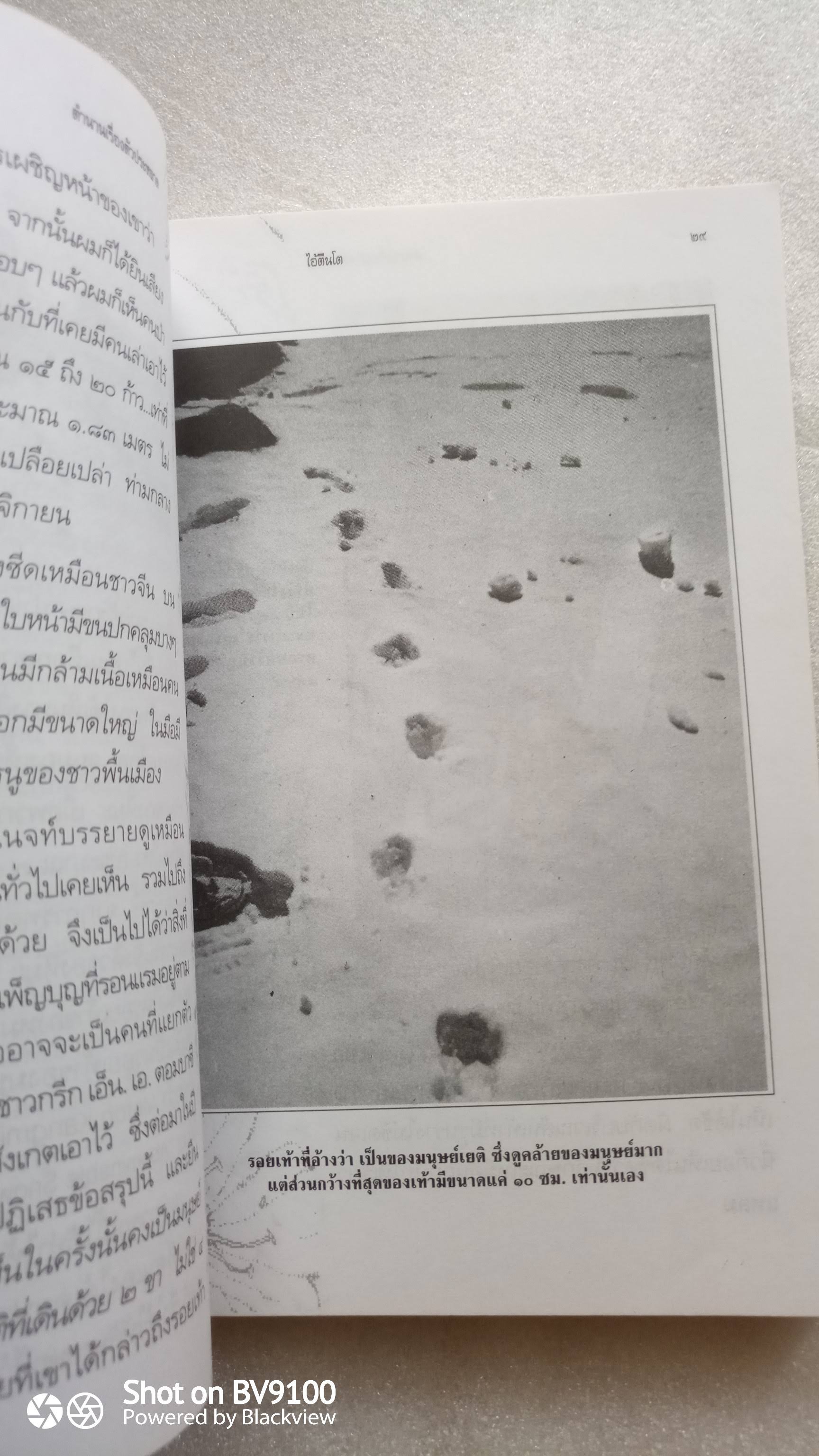 ตำนานเรื่องตัวประหลาด / บัวแก้ว ไชยหลวงผา