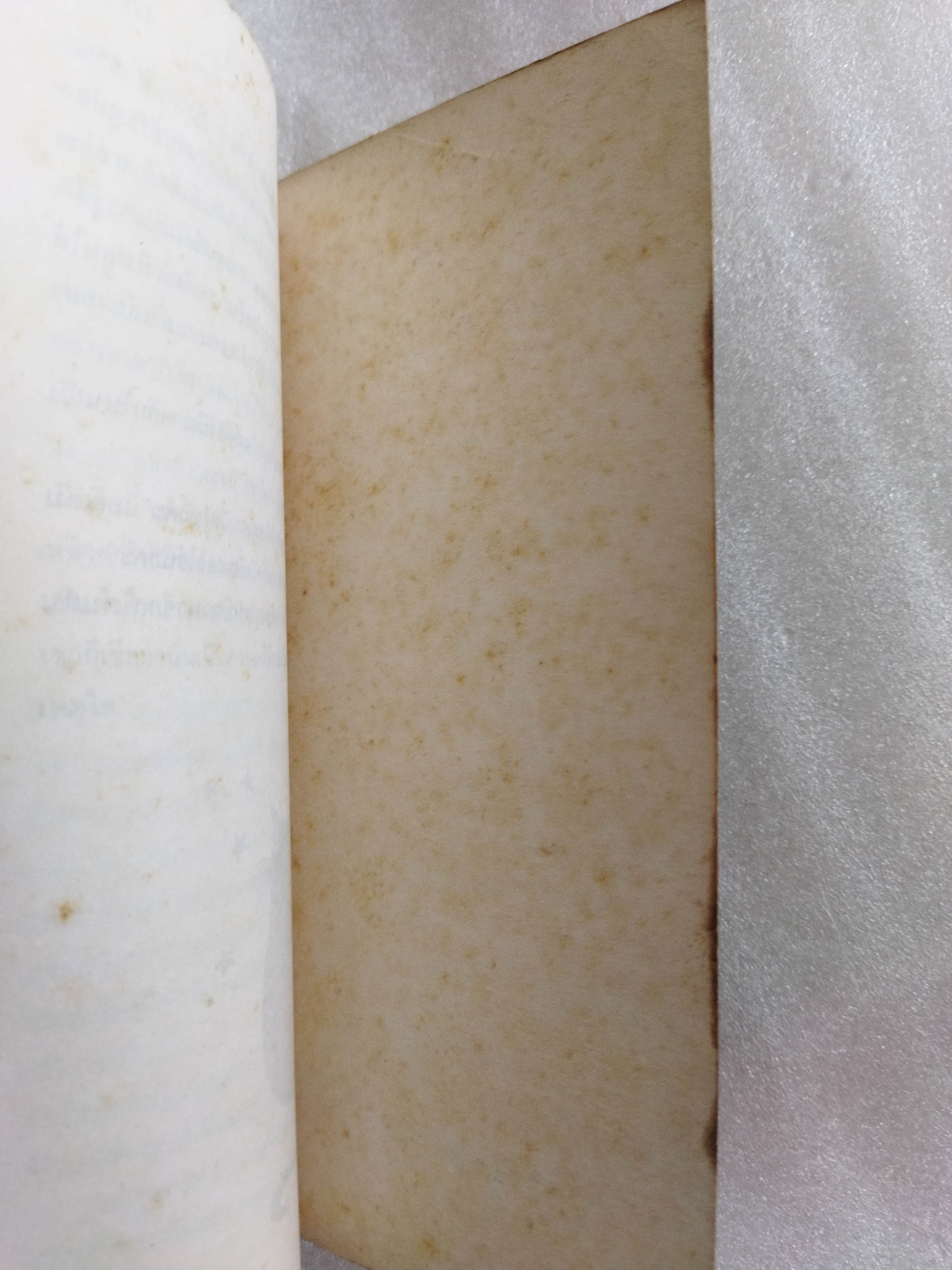 แม่มดในปล่องไฟ The Chimney Witches / วิคตอเรีย ไวท์เฮด