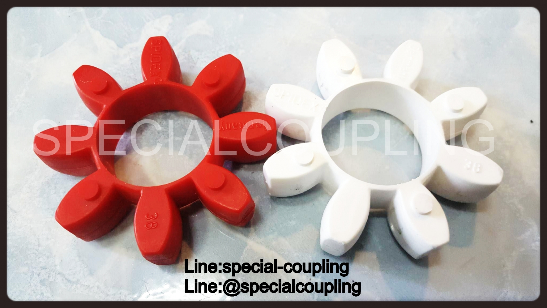 Spidex size.38 red,white spider only