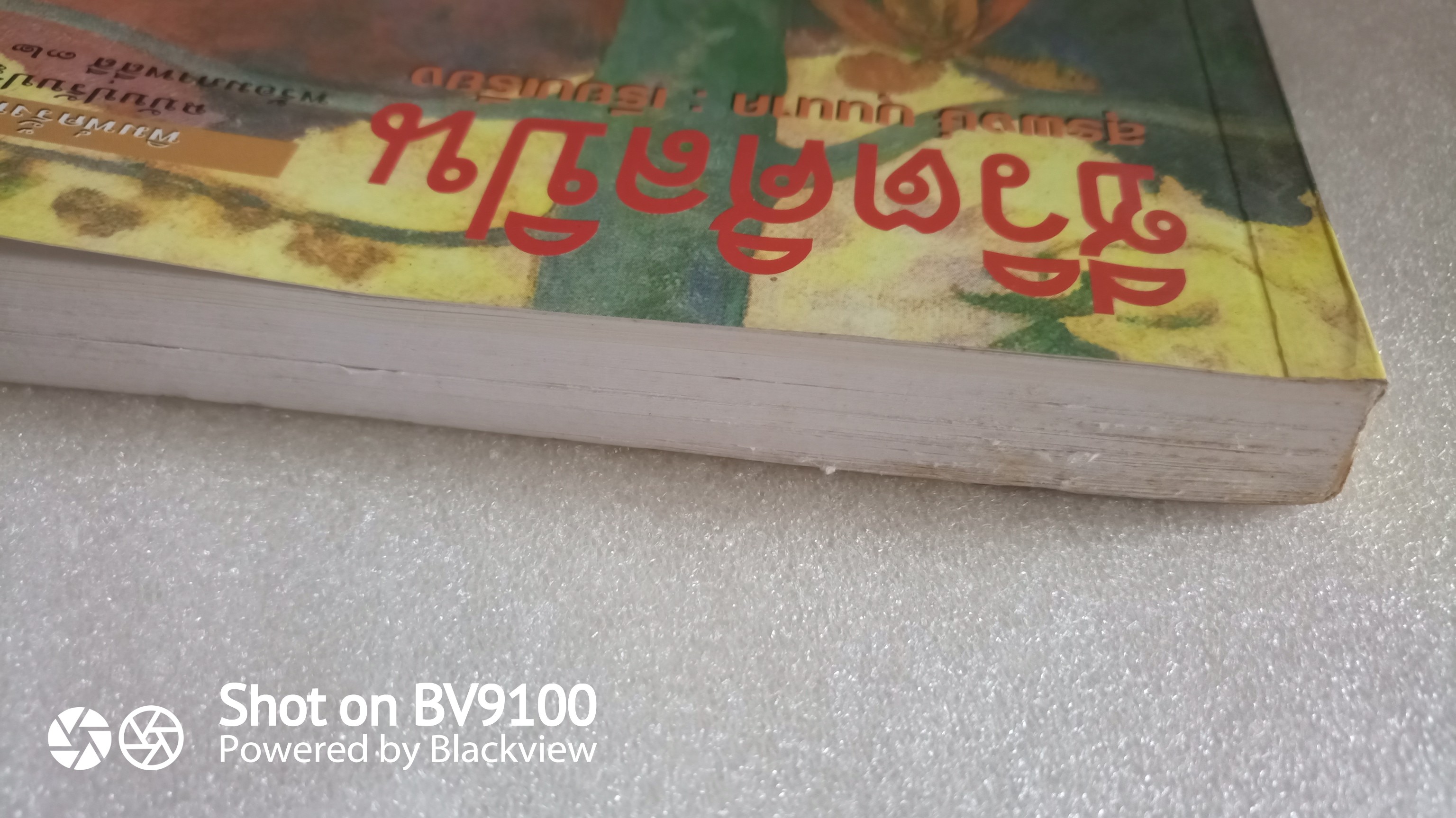 ชีวิตศิลปิน