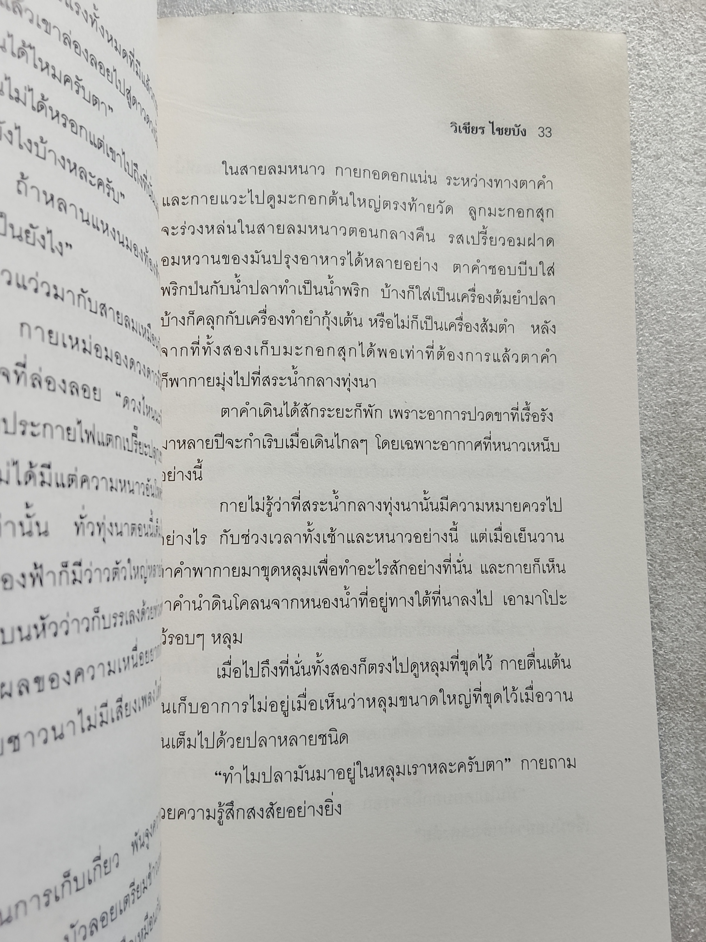 สายลมกับทุ่งหญ้า / วิเชียร ไชยบัง