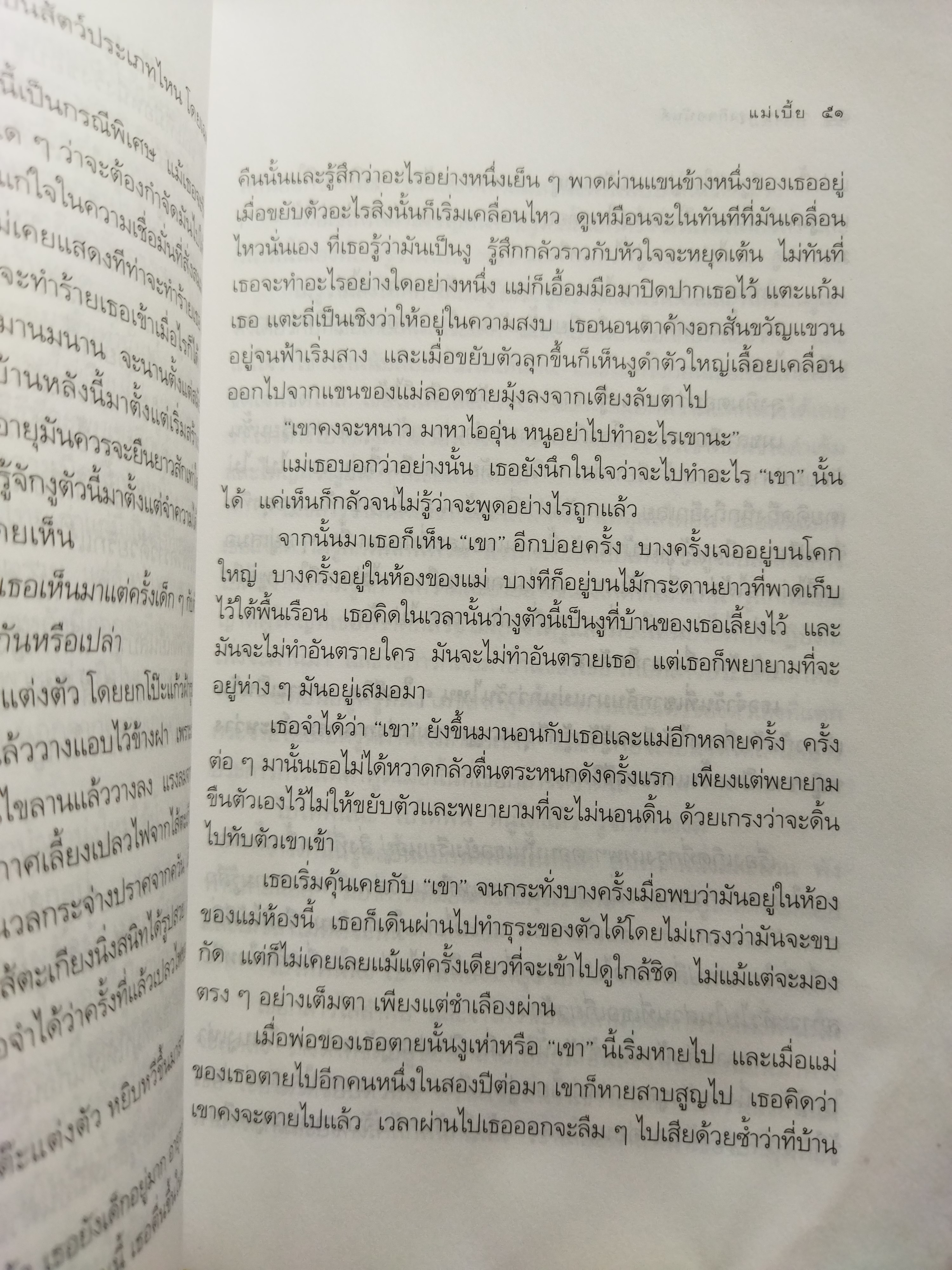 แม่เบี้ย /วาณิช จรุงกิจอนันต์