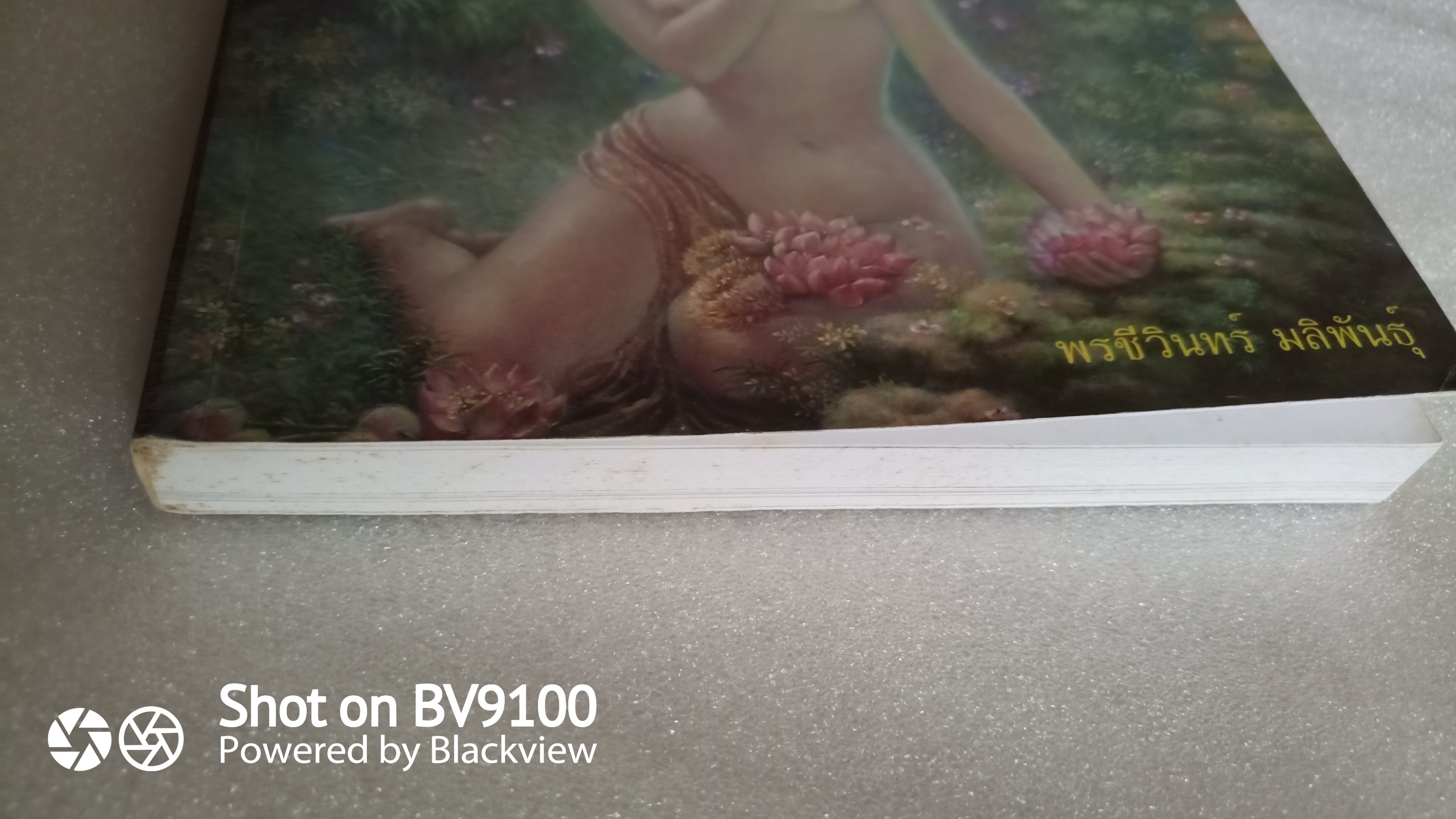 กินรี สุนทรียภาพในงานศิลปะและวรรณกรรม / พรชีวินทร์ มลิพันธุ์