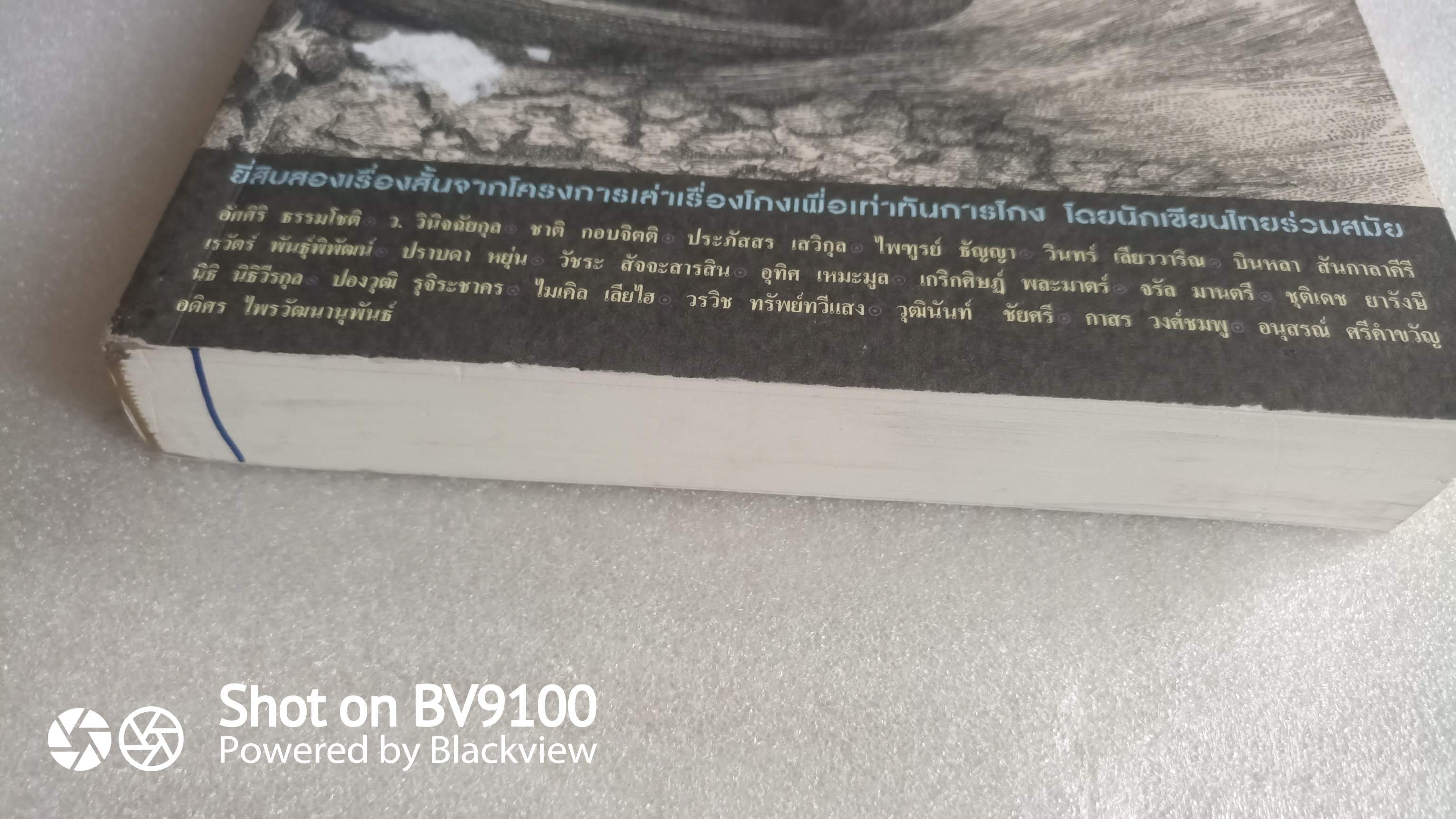 รหัสลับคอร์รัปชั่น / รวมนักเขียนชั้นแนวหน้า